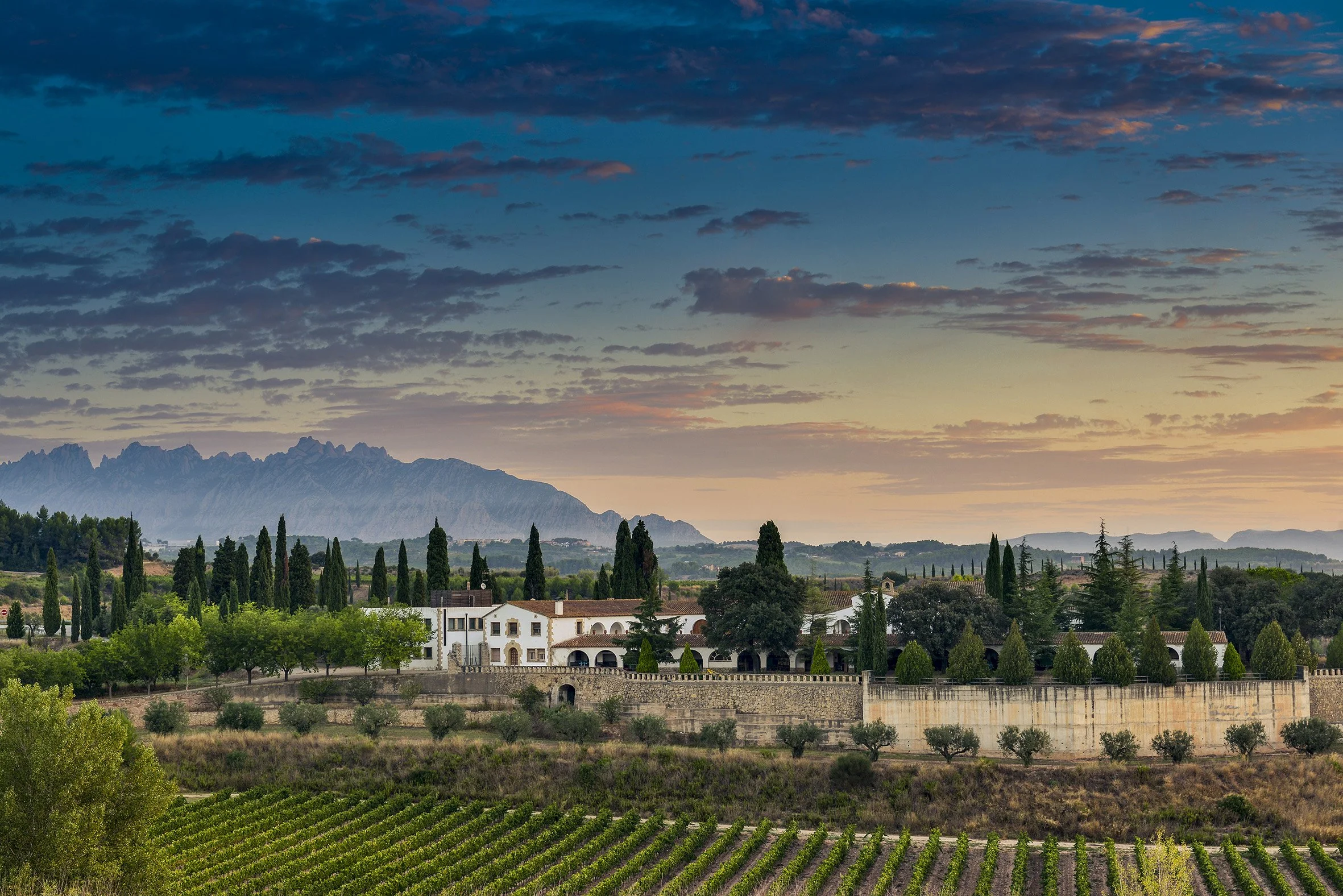 Iconic Cava Estate Juvé &amp; Camps Partners With Nimbility For APAC Expansion 
