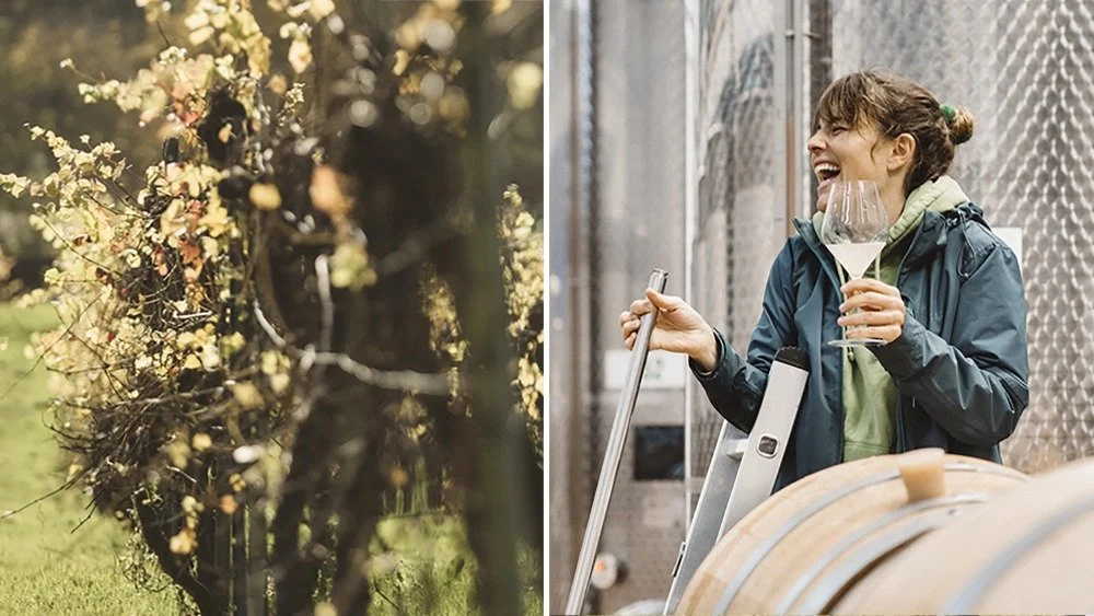 ‘We’re One of the Very Few Winners in a World Full of Losers’: How English Wine Is Benefiting From Climate Change