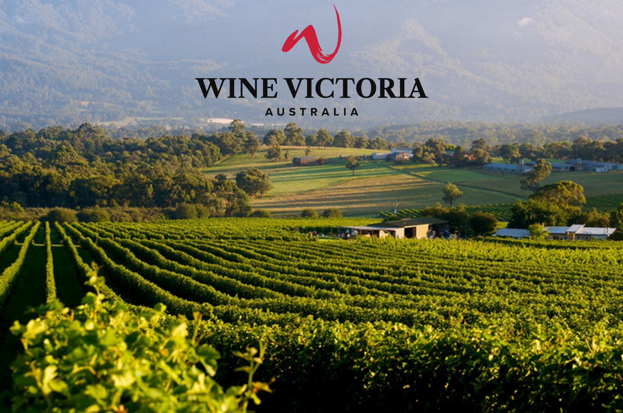 Wine Victoria engages Nimbility to run B2B Campaign in China.