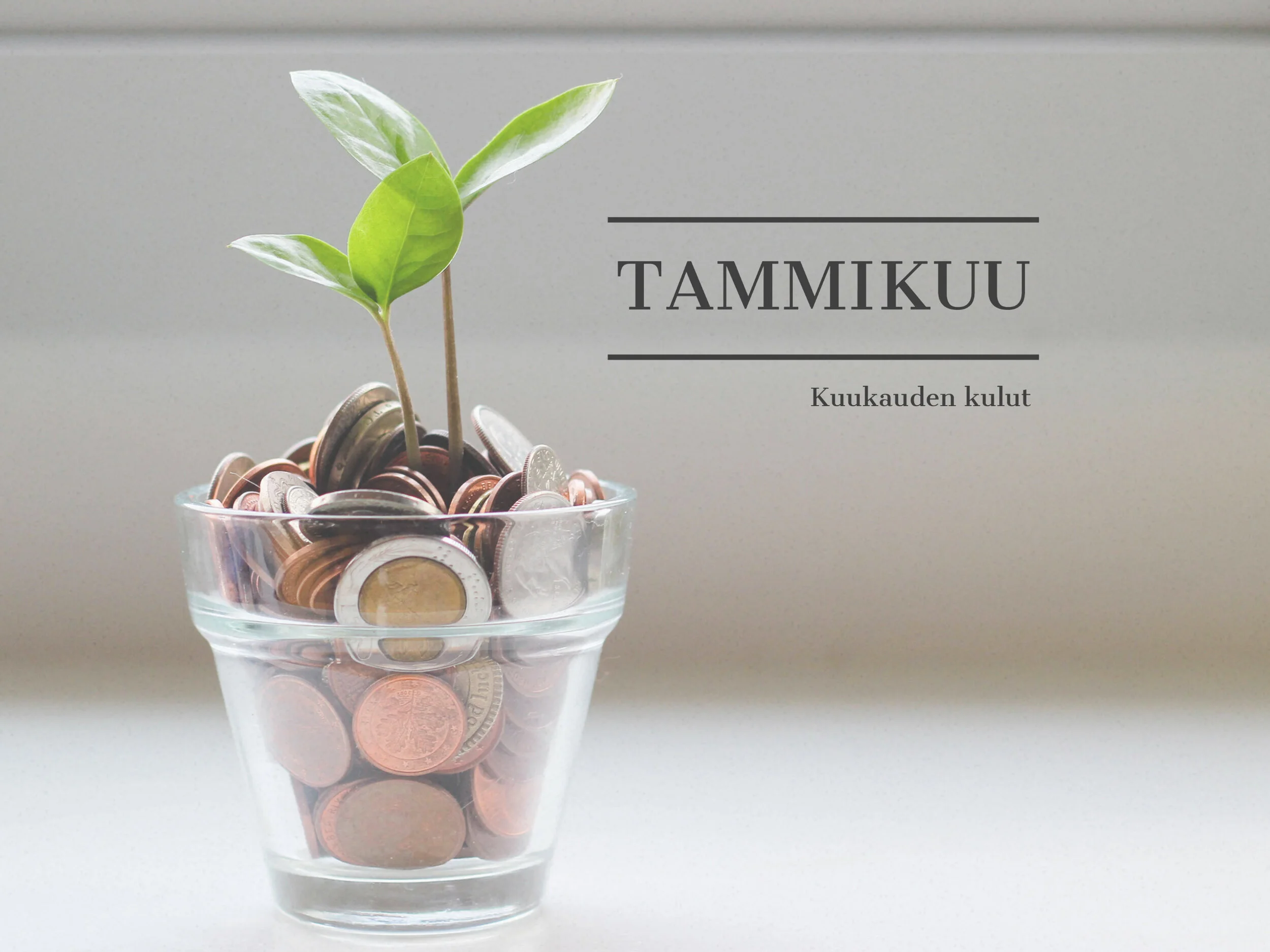 Tammikuun vaatemenot