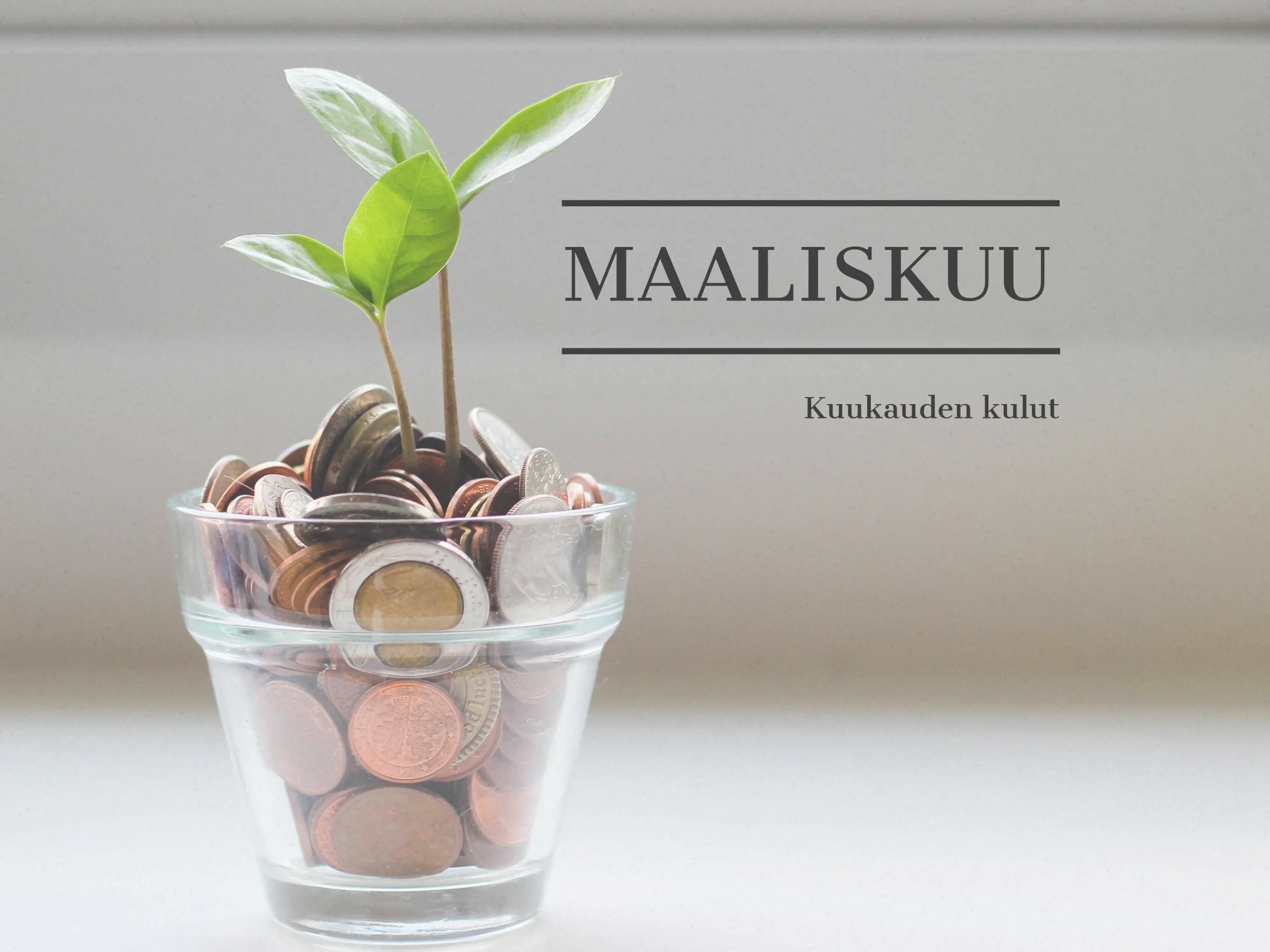 Maaliskuun vaatemenot