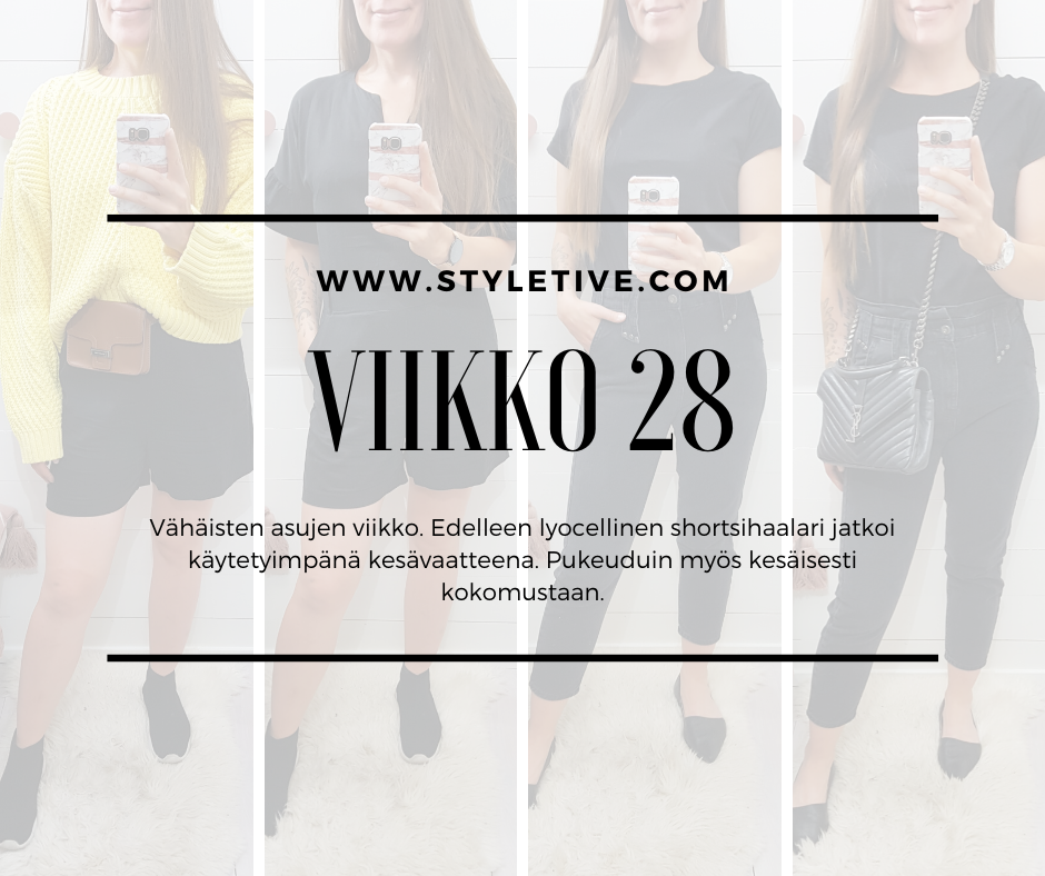 Viikko 28