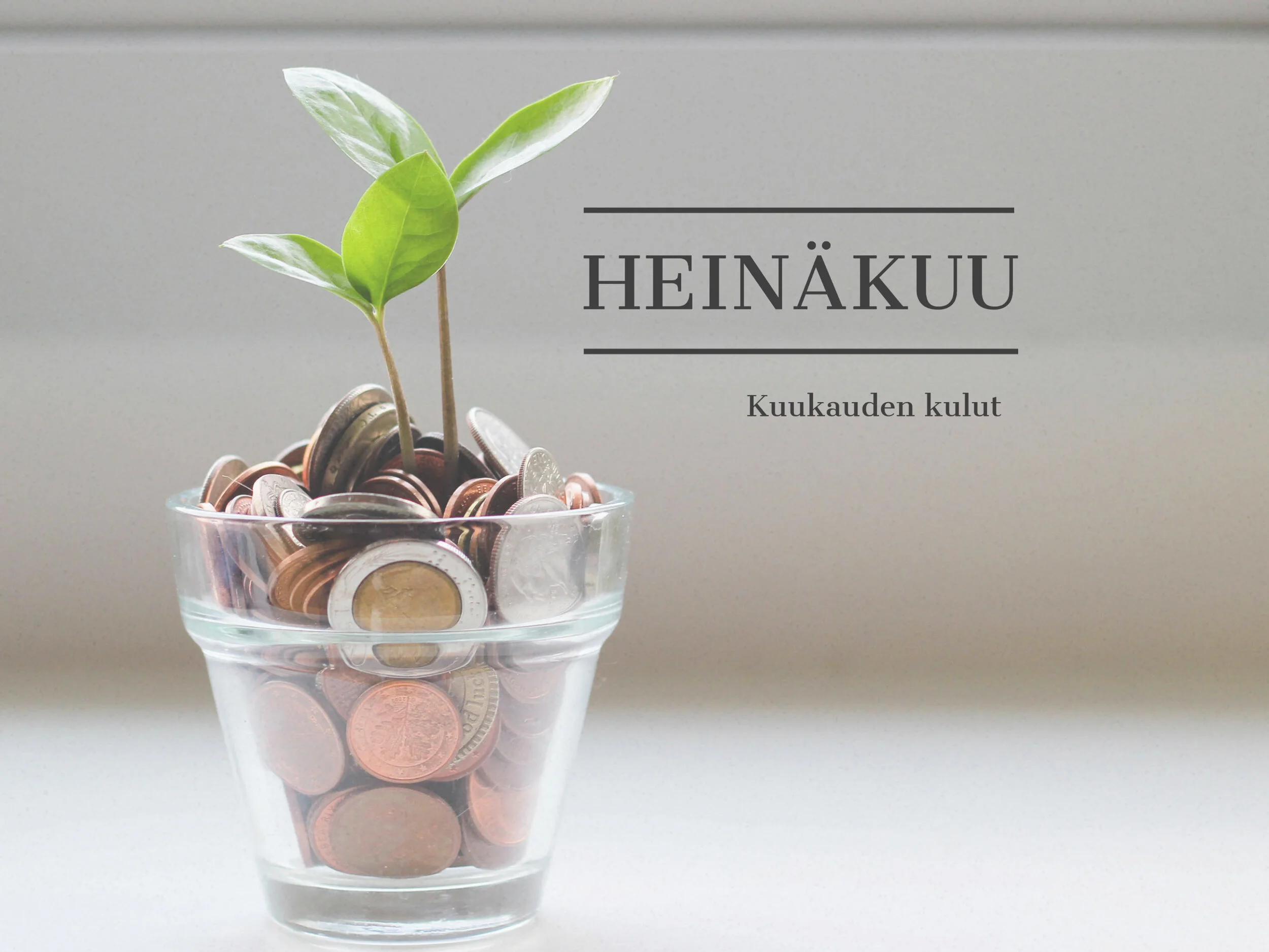 Heinäkuun vaatemenot