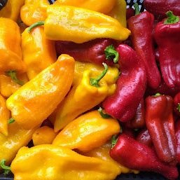 sweet+peppers.jpg