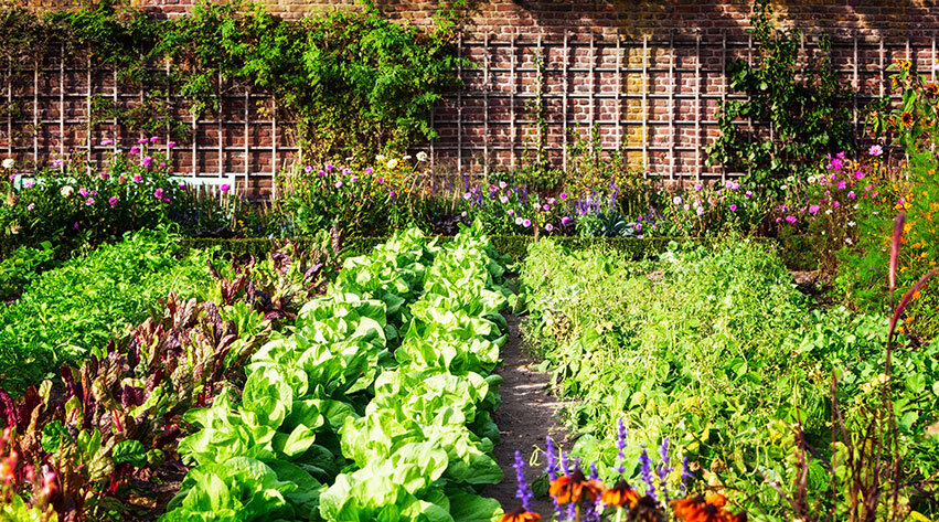 kitchen-gardens-01.jpeg