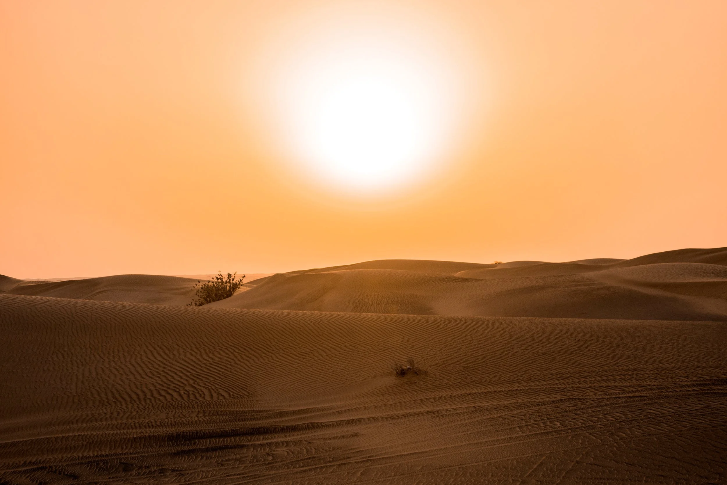 adventure-arid-barren-712392.jpg