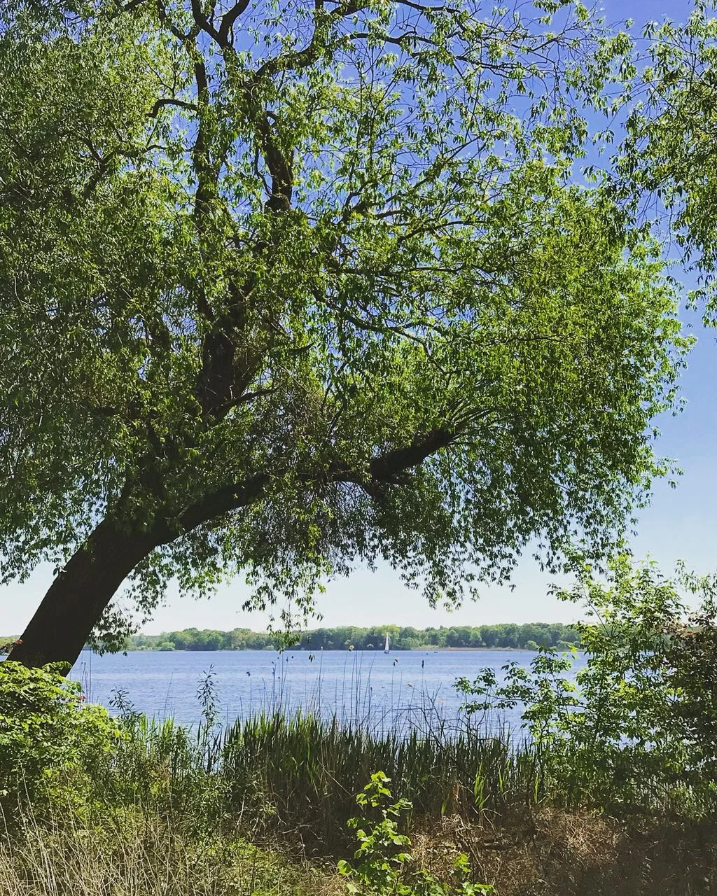 The Quiet Charm of Brandenburg
