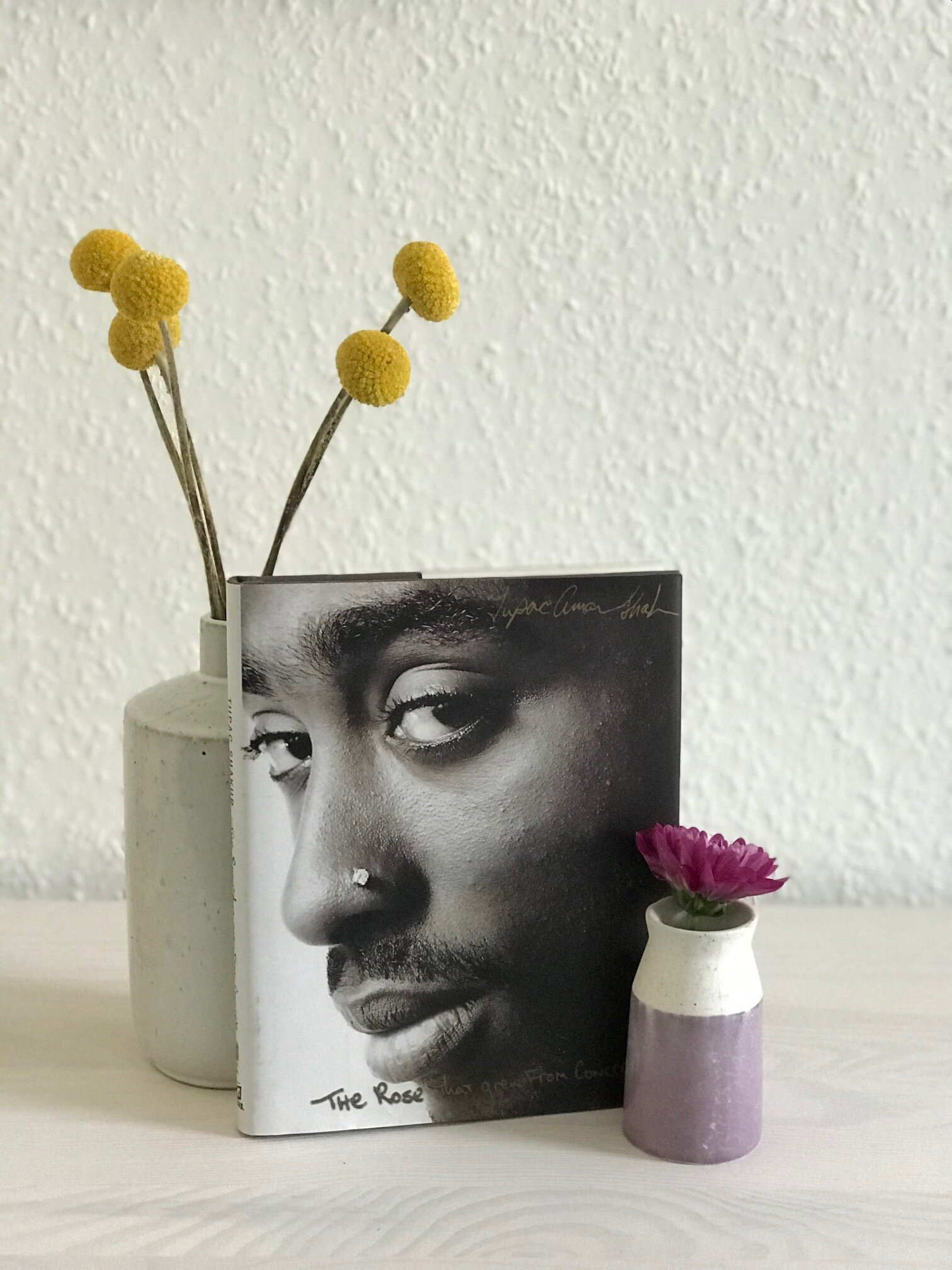 The Rose That Grew From Concrete by Tupac Shakur