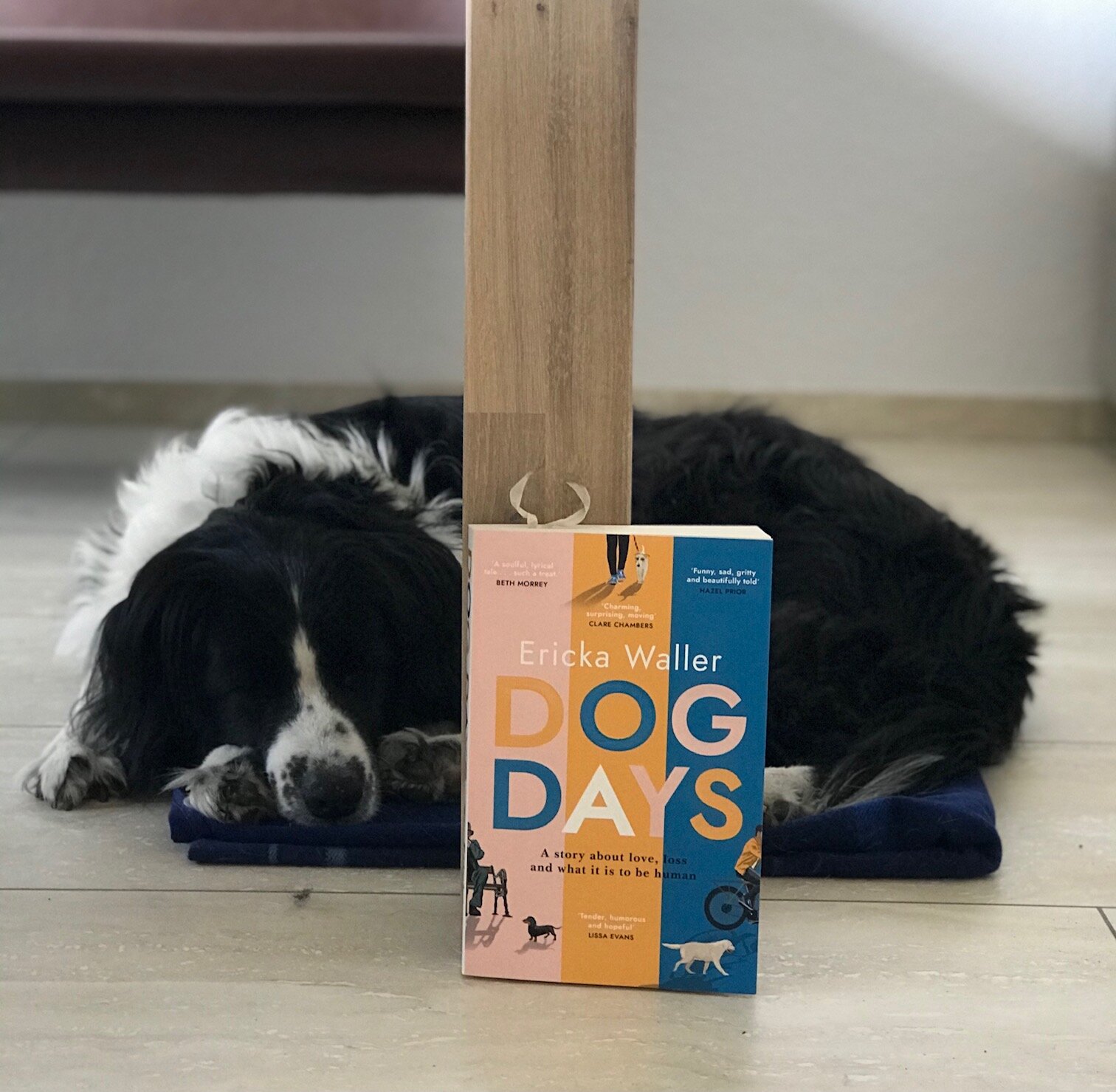 Dog Days by Ericka Waller