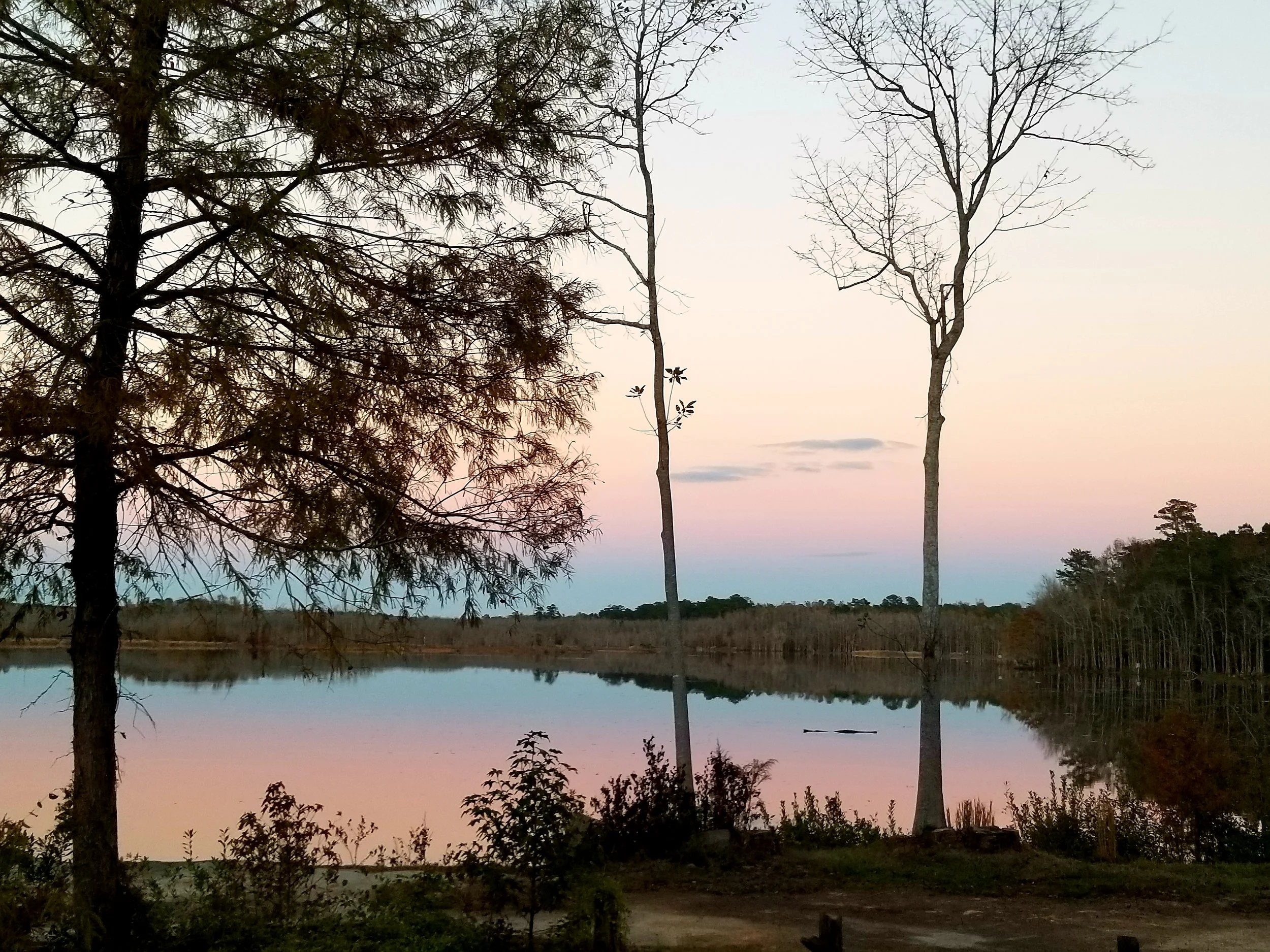 Mill Pond Steakhouse