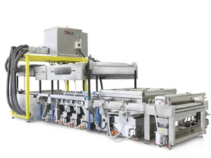 Triulzi Glass Washing Machines