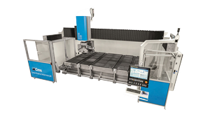 Cms Sawjet