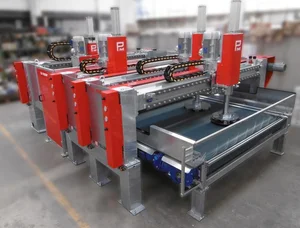 Pellegrini Surface Processing Lines and Machines