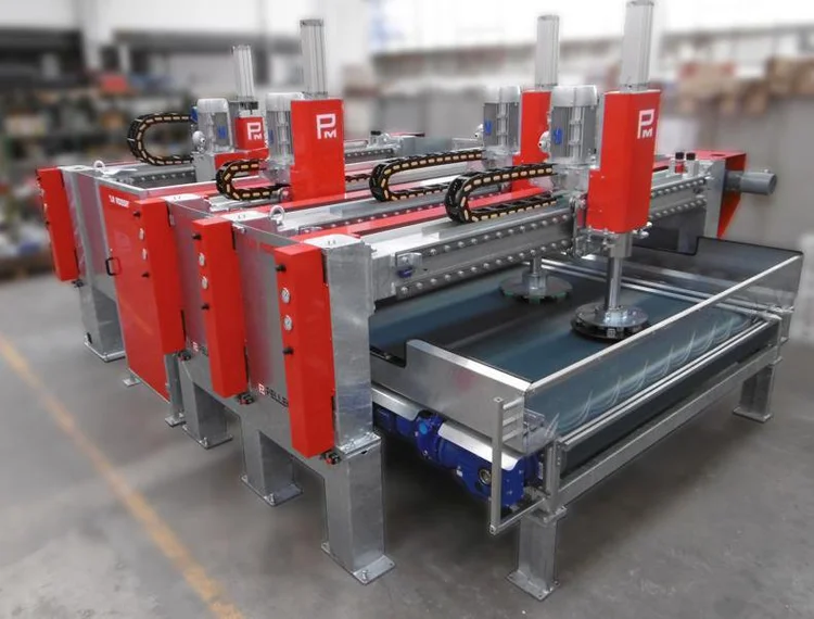 Pellegrini Surface Processing Lines and Machines