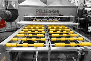 Pellegrini Surface Processing Lines and Machines