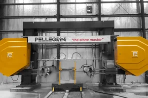 Pellegrini Profiling Machines