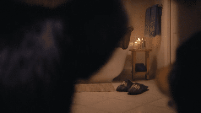 Scana Bears_ Quiet Night-low.gif