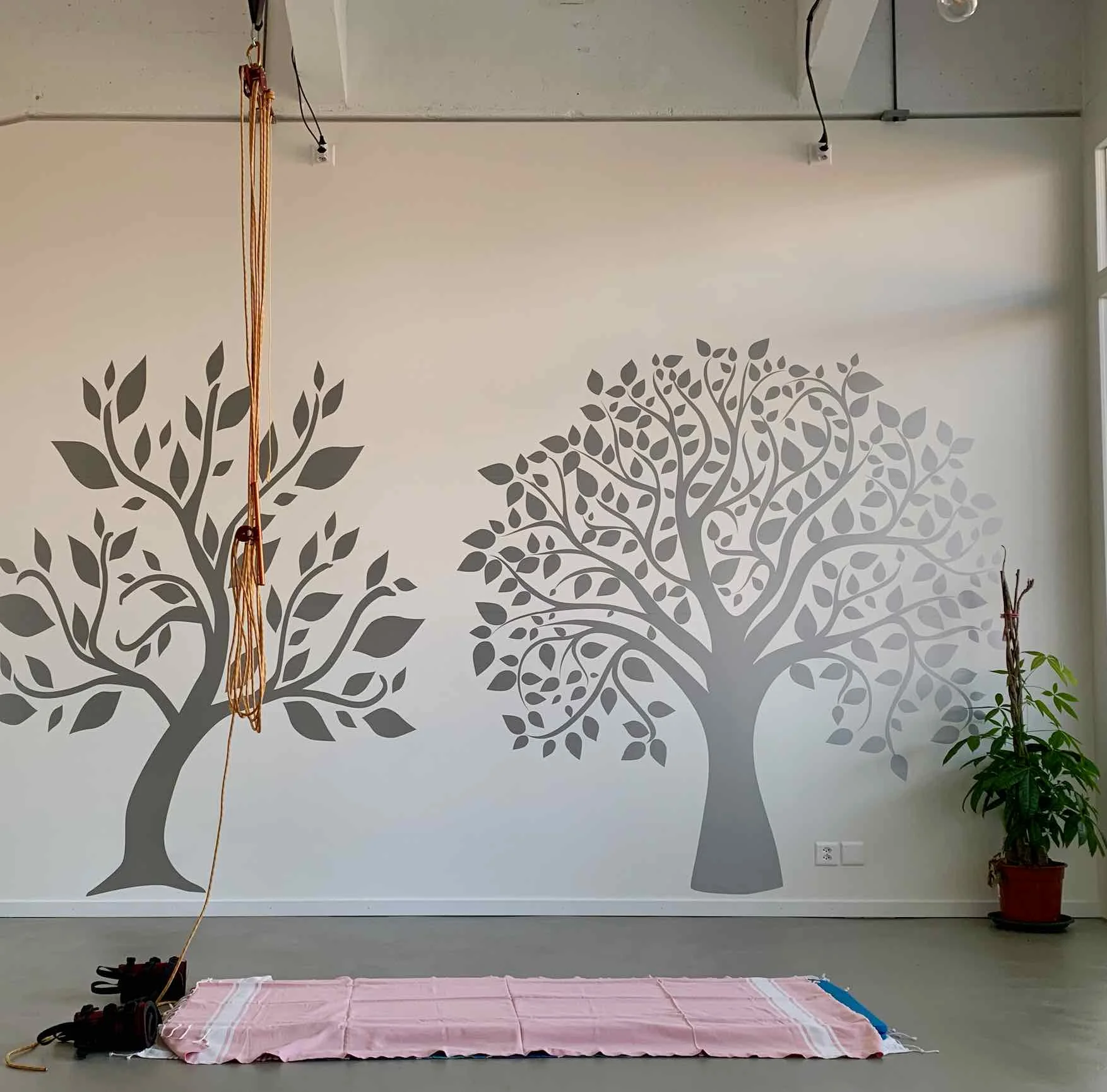 hang_free_setup_hangab_setup_rope_room.jpg