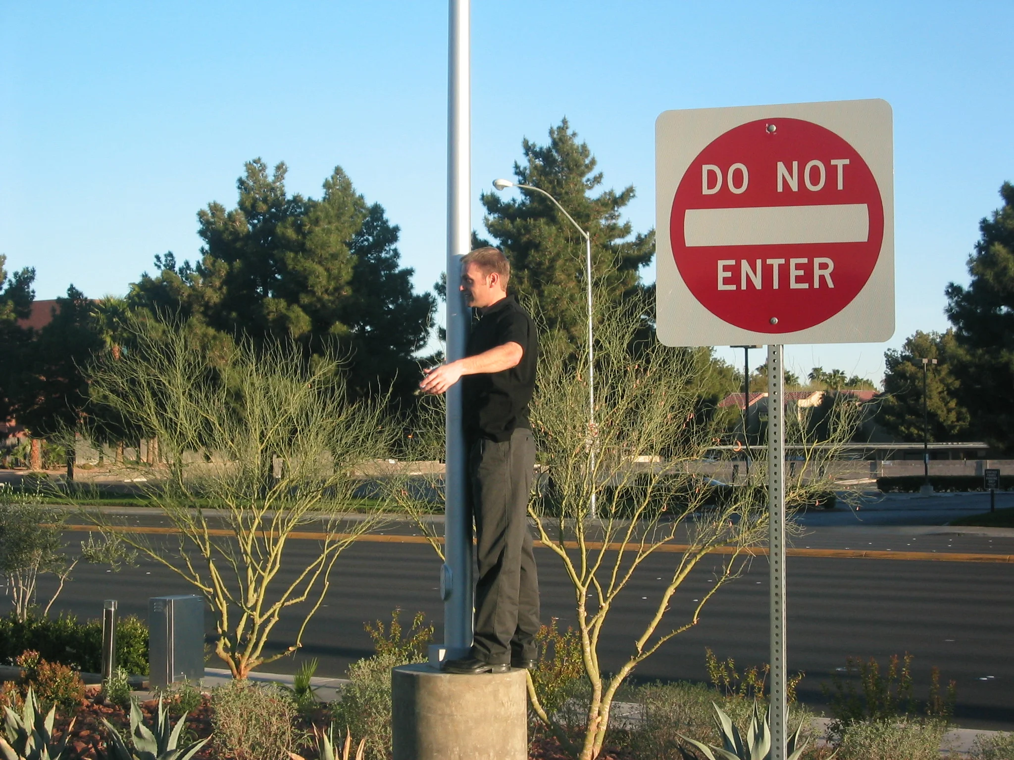 Vegas2003_Ski  Pole v1.jpg