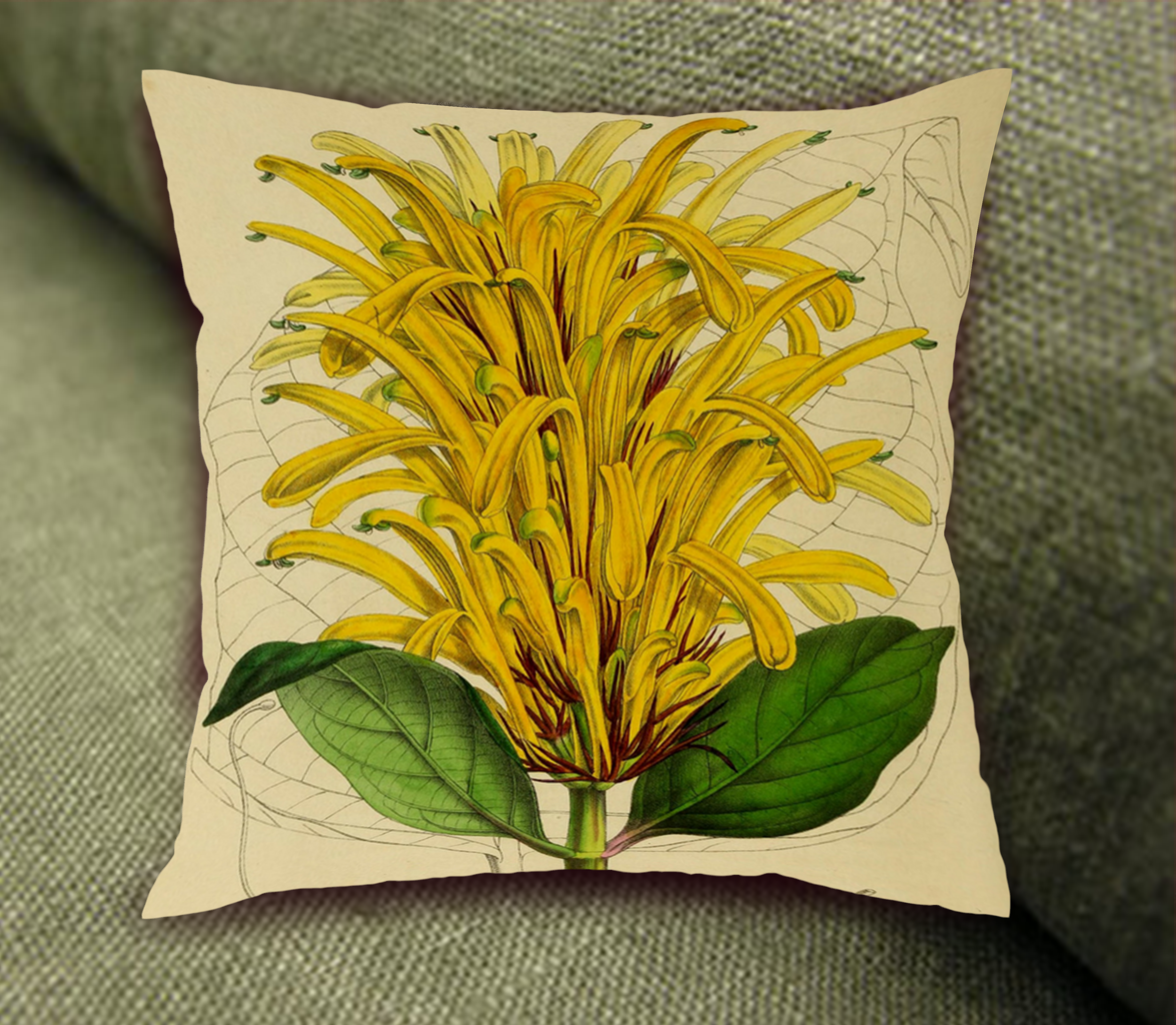 EXOTIC SCATTER CUSHIONS