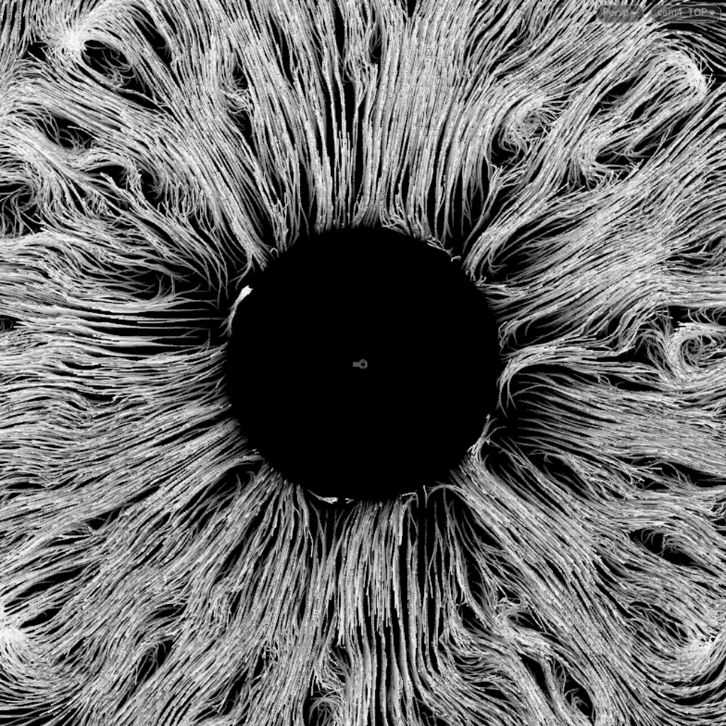 space_iris_trail_v02_0807.gif