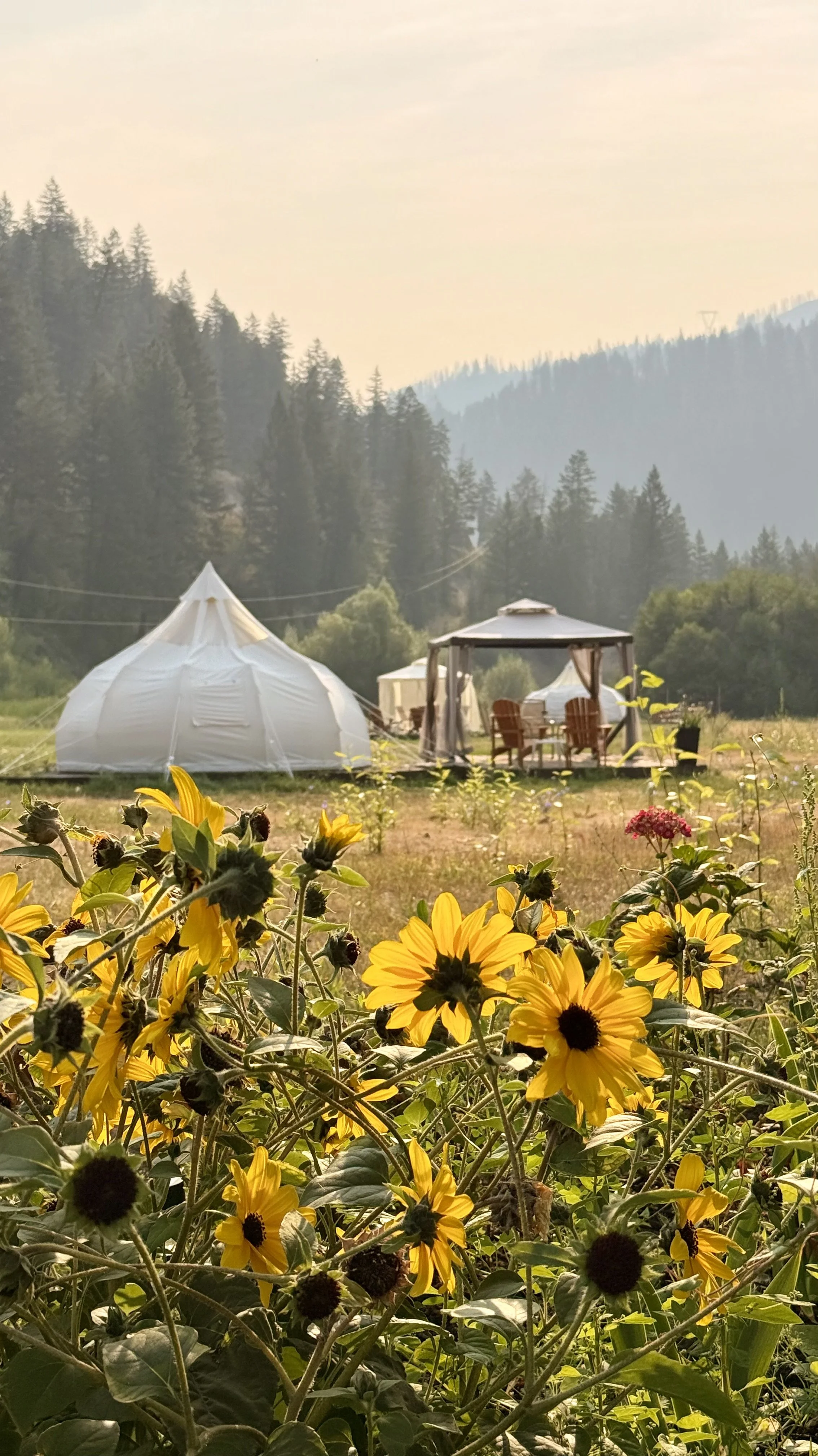 A bell tent at Moonlight Glamping
