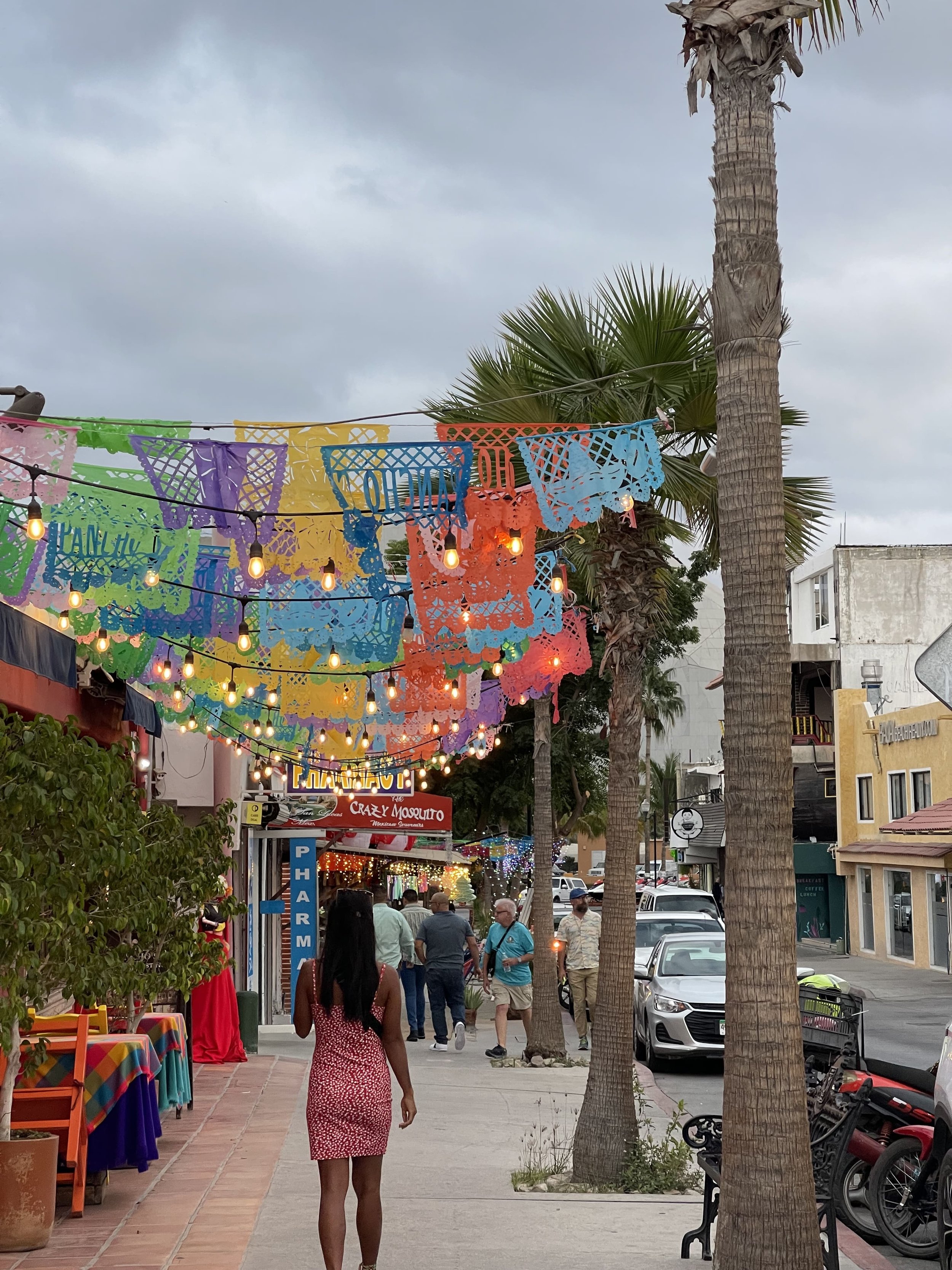 Guide to Travel San Jose del Cabo, Mexico — Exploratory Glory Travel Blog