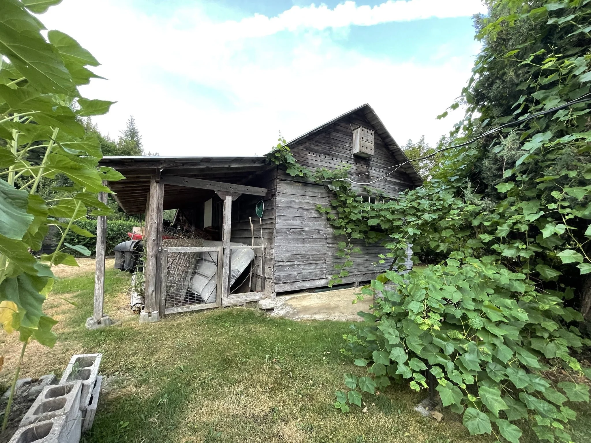 Guide to Travel Silverton, British Columbia — Exploratory Glory Travel Blog