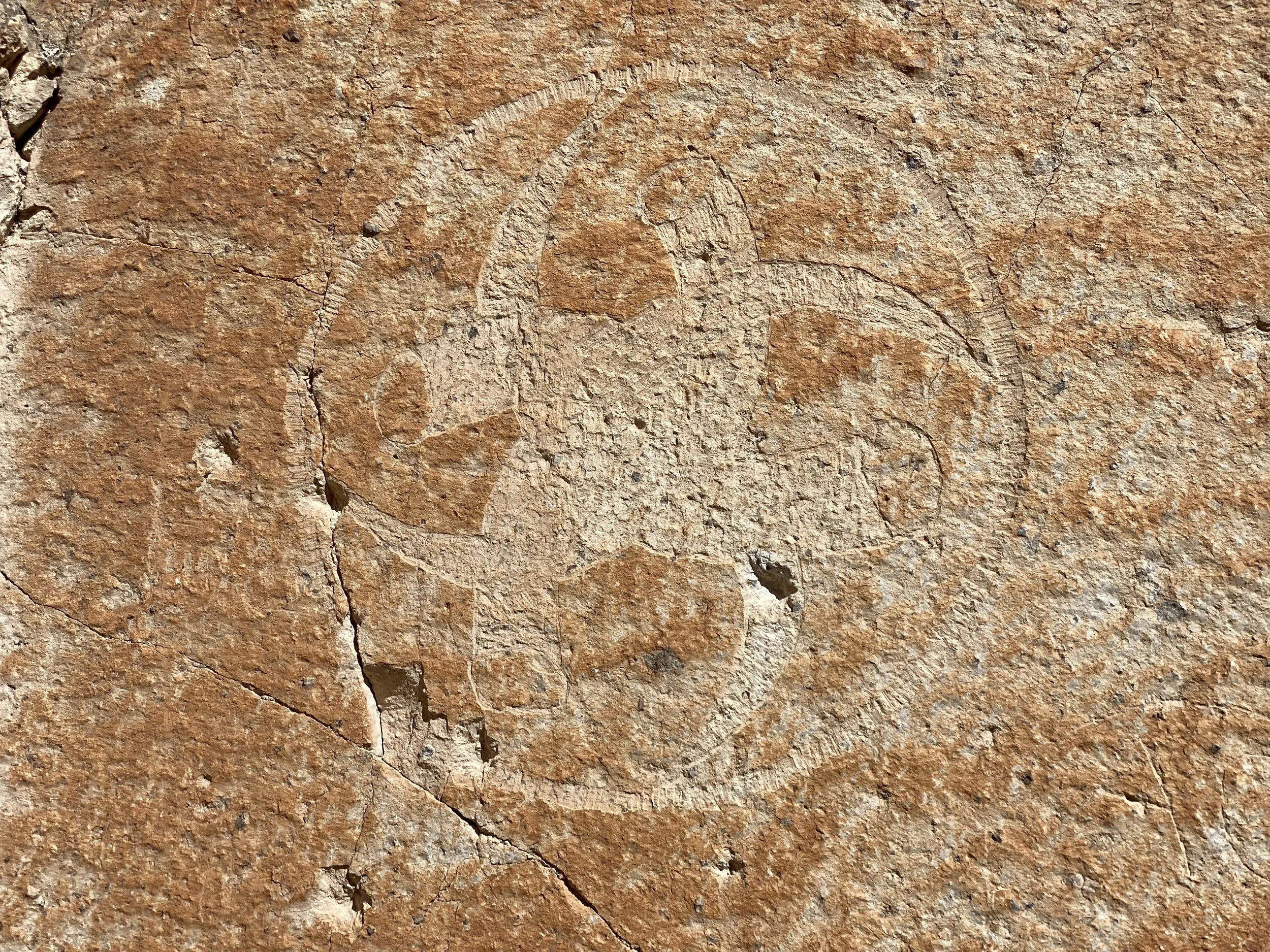 A petroglyph at Fremont Indian State Park, Utah, USA