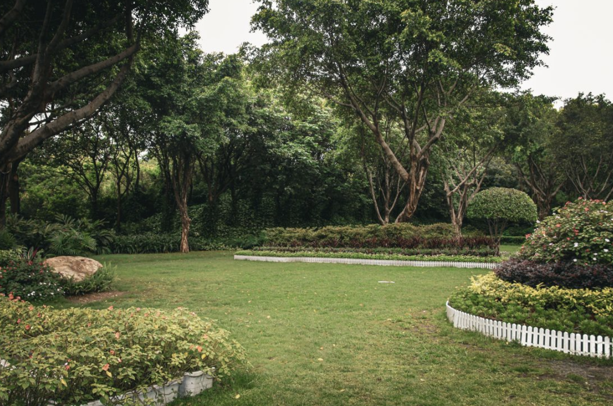 Backyard garden