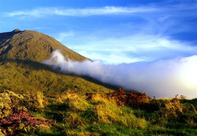 Pico, Azores, Portugal
