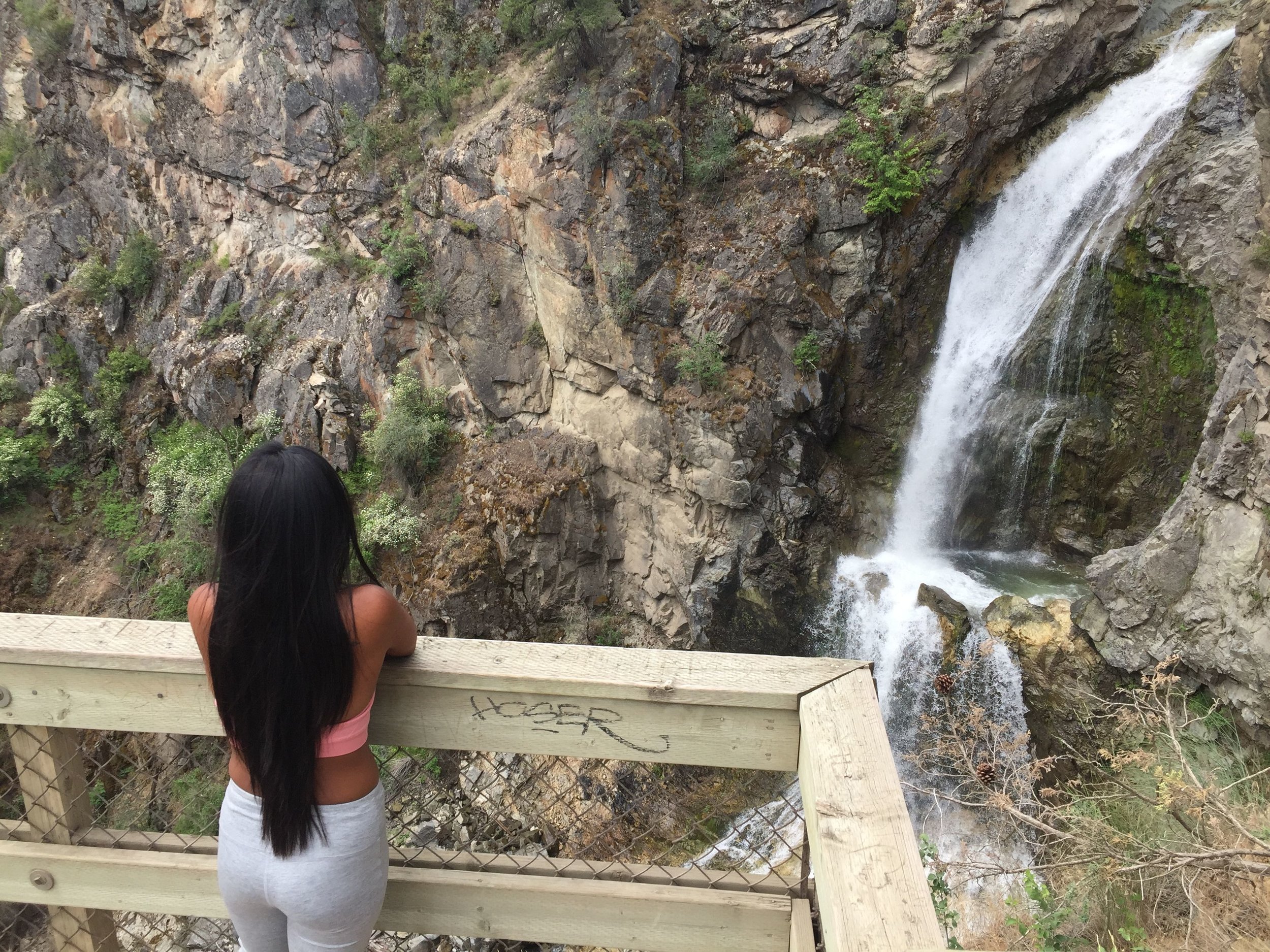 Fintry Falls Trail