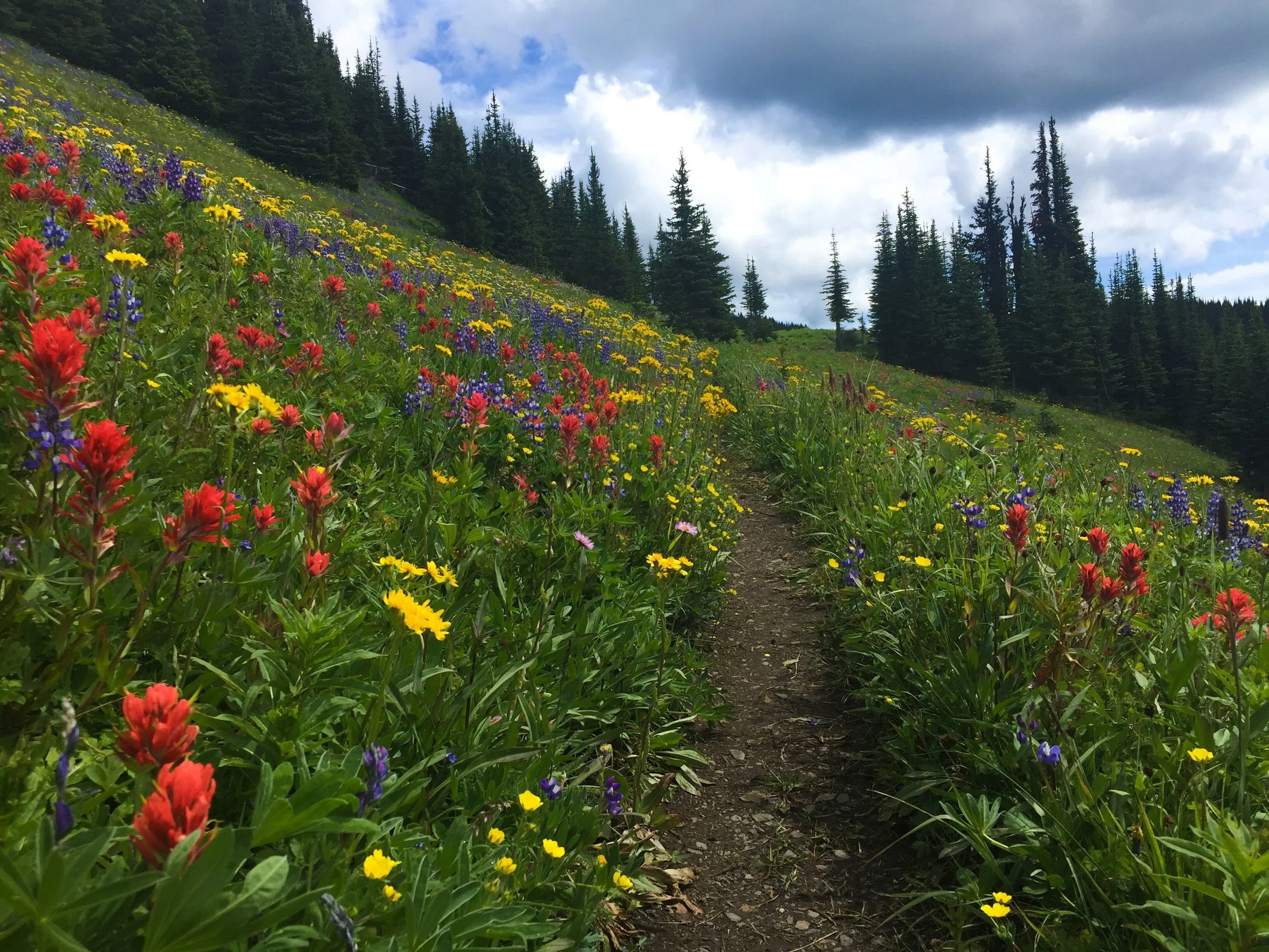 Sun Peaks, British Columbia