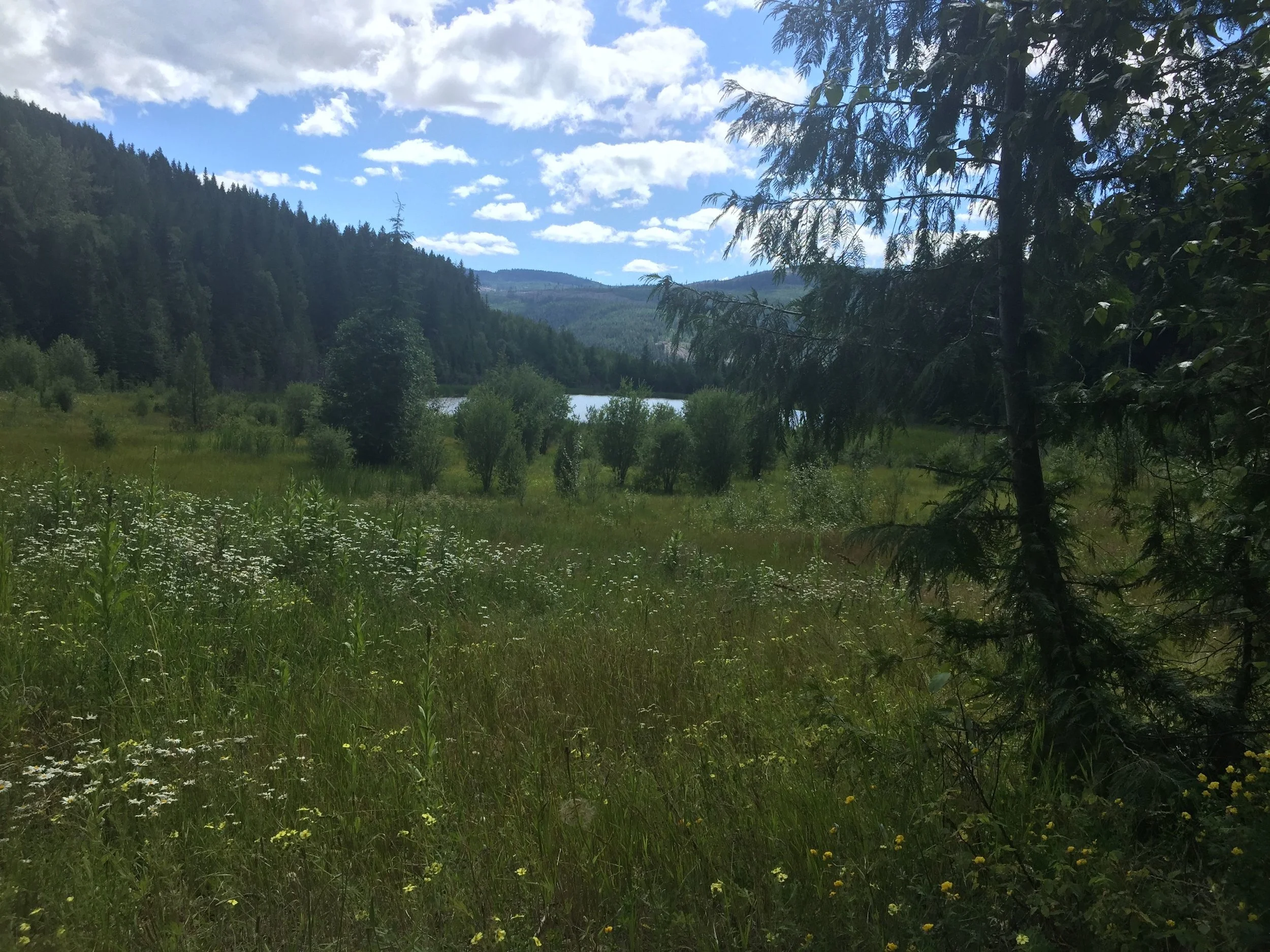 Camel’s Hump, Okanagan, British Columbia, Canada