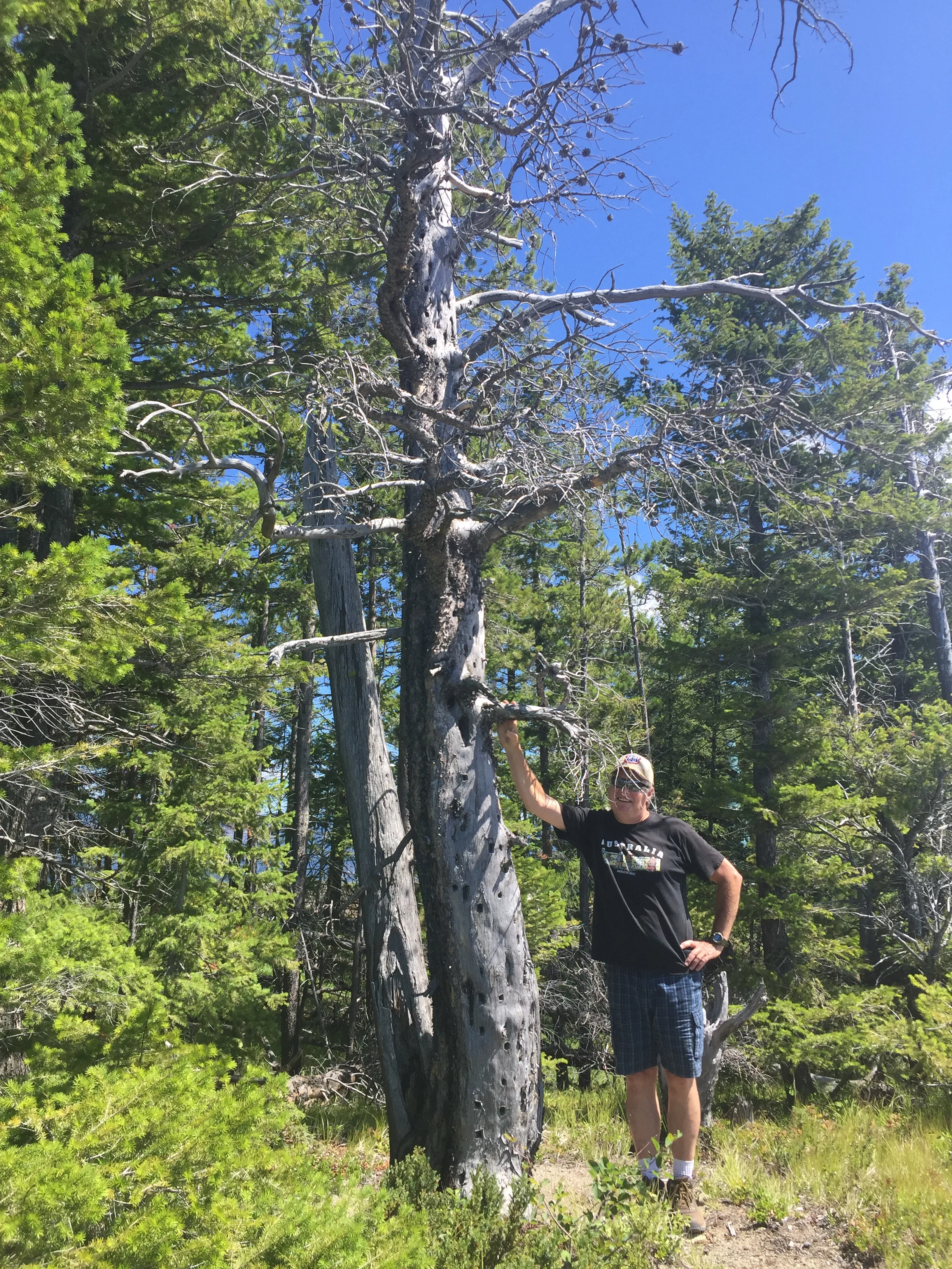 Camel’s Hump, Okanagan, British Columbia, Canada