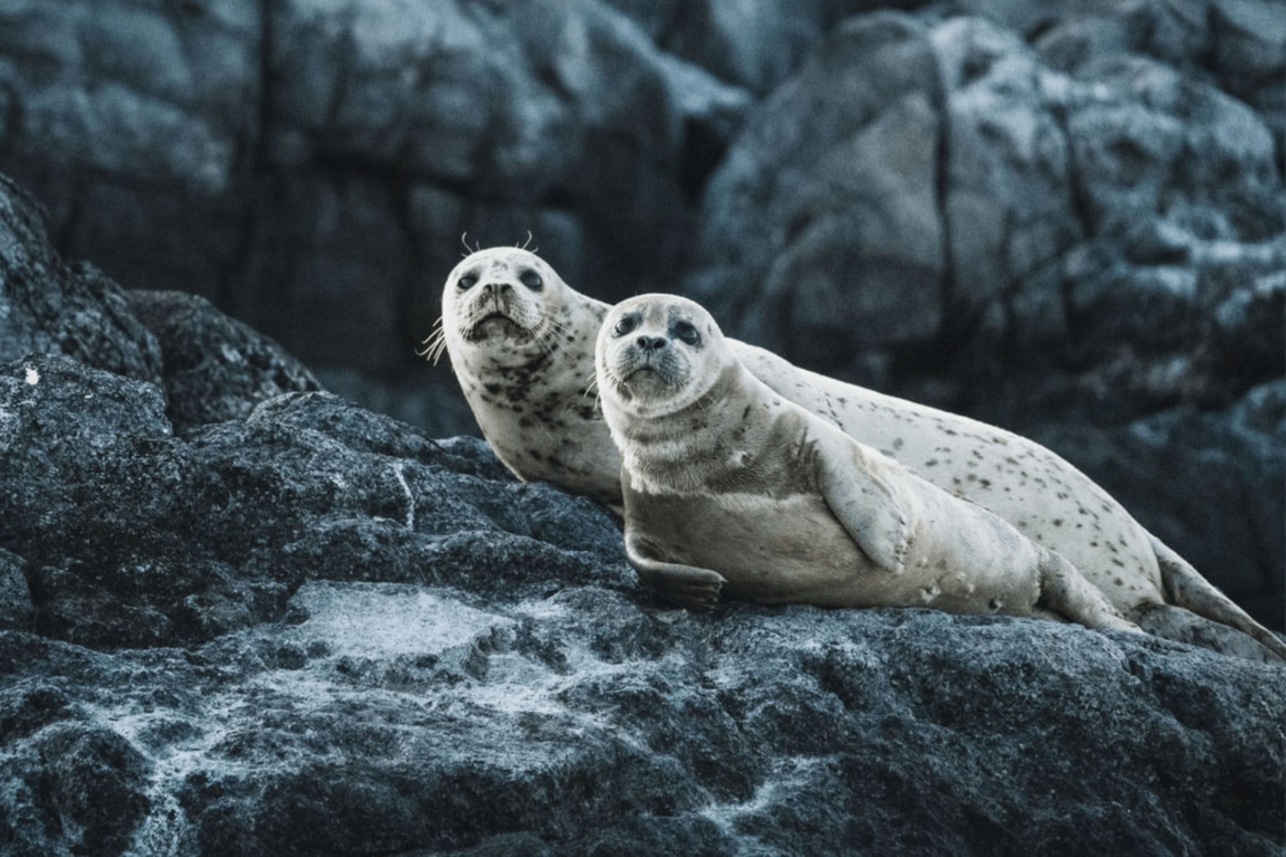 Reasons to Visit British Columbia — Exploratory Glory Travel Blog