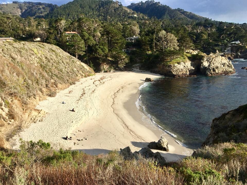 Monterey and Point Lobos State Park — Exploratory Glory Travel Blog