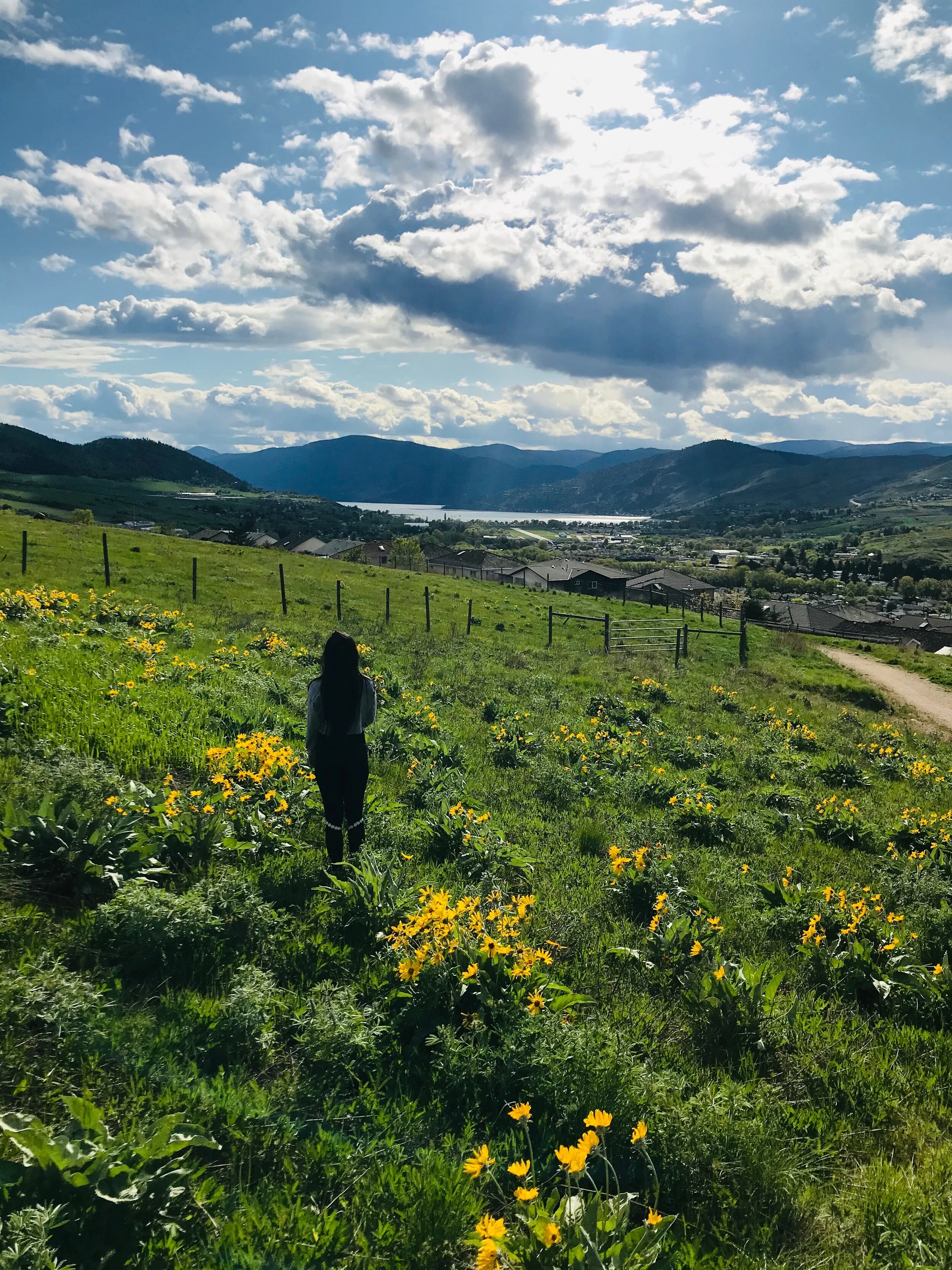 Okanagan College Connector Trail