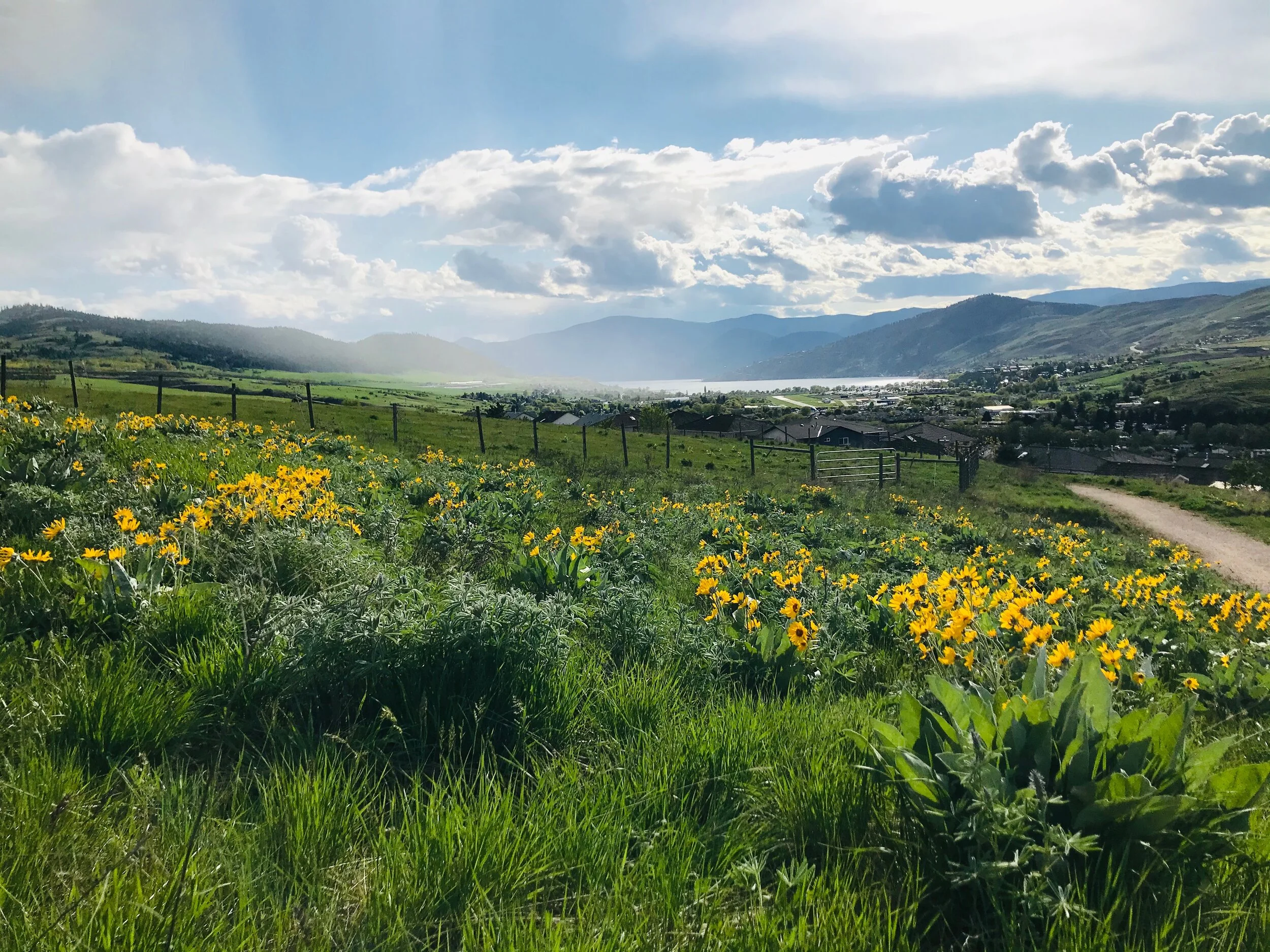 Okanagan College Connector, Vernon, British Columbia