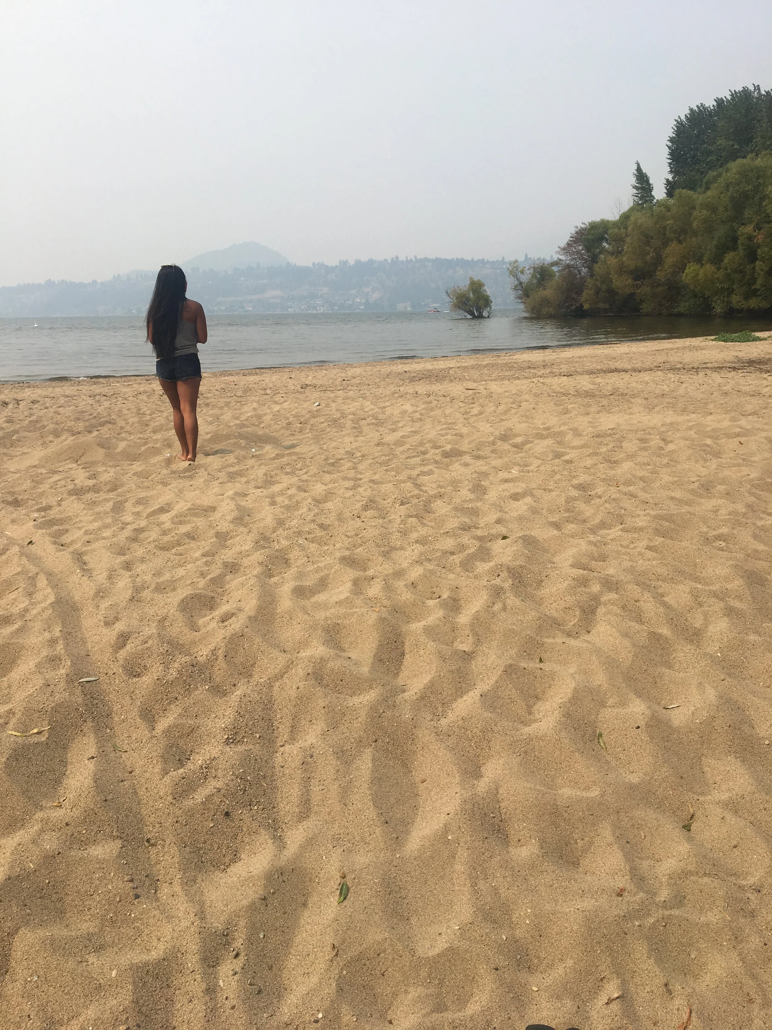 Francis Avenue Beach, Kelowna