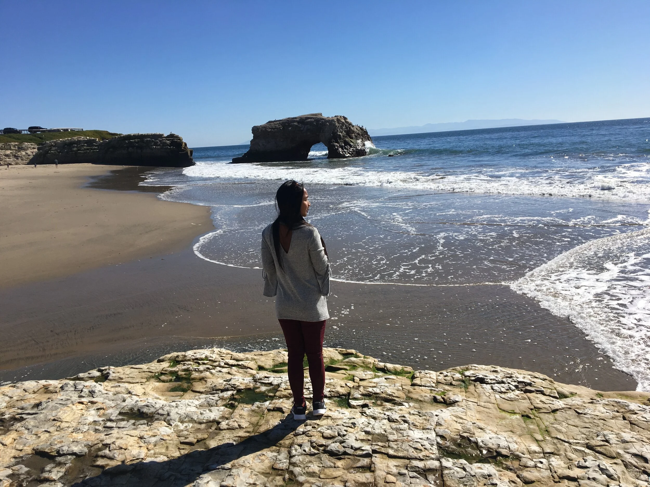 Natural Bridges State Beach