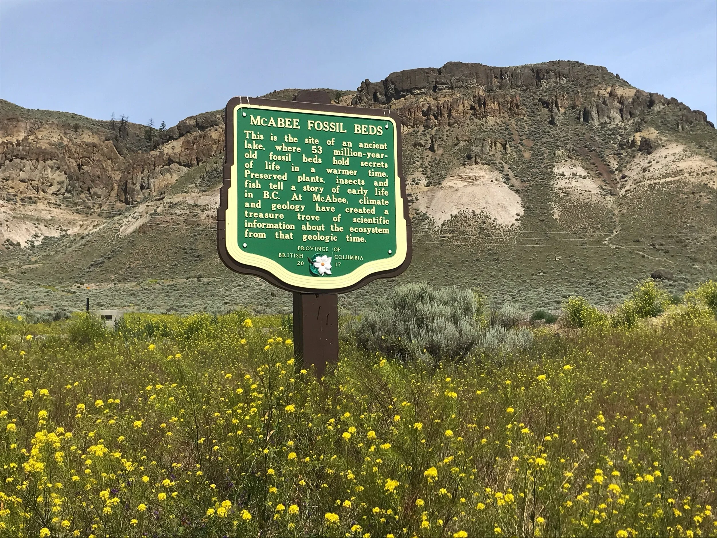 McAbee Fossil Beds, British Columbia