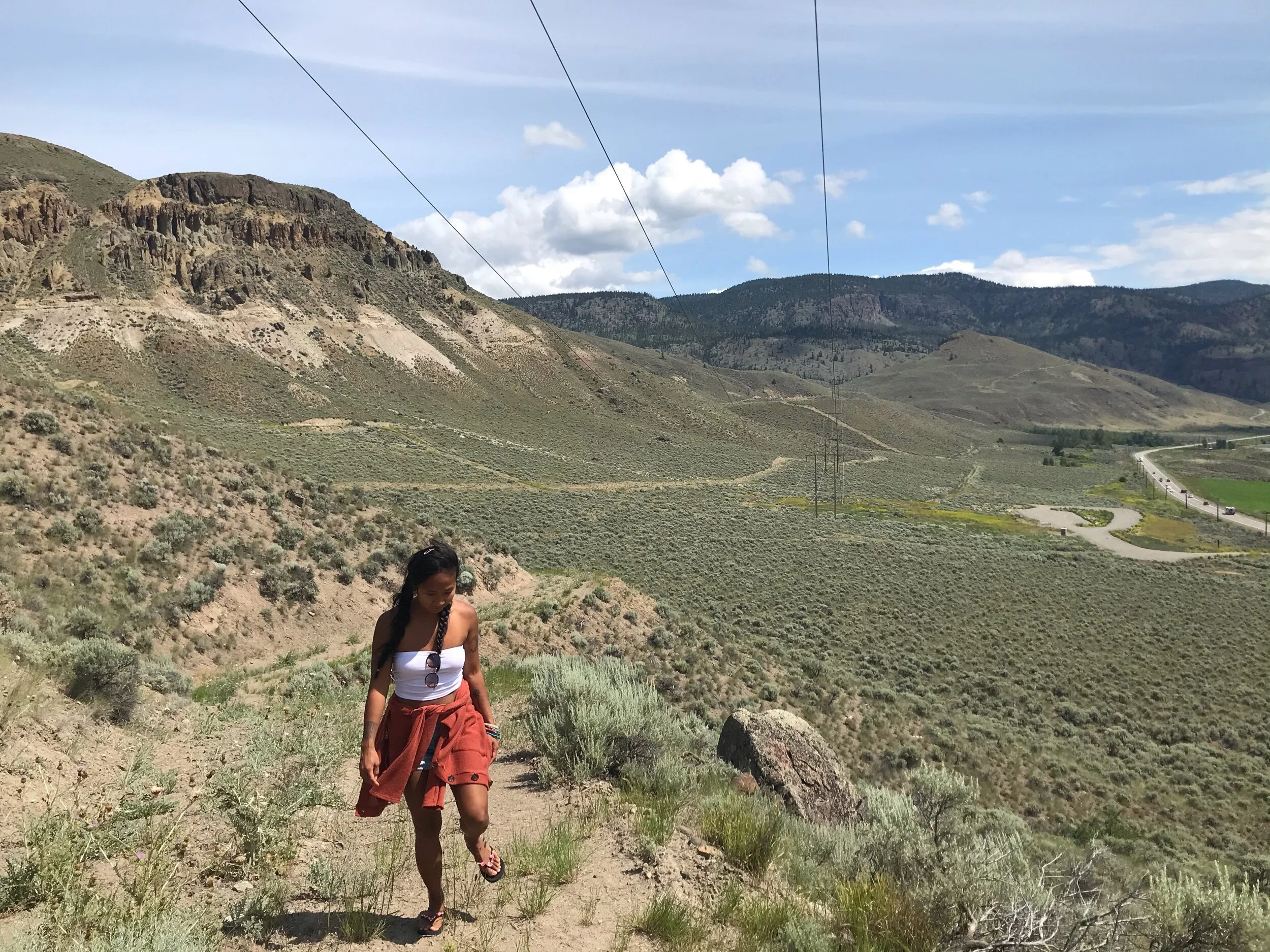 McAbee Fossil Beds, British Columbia