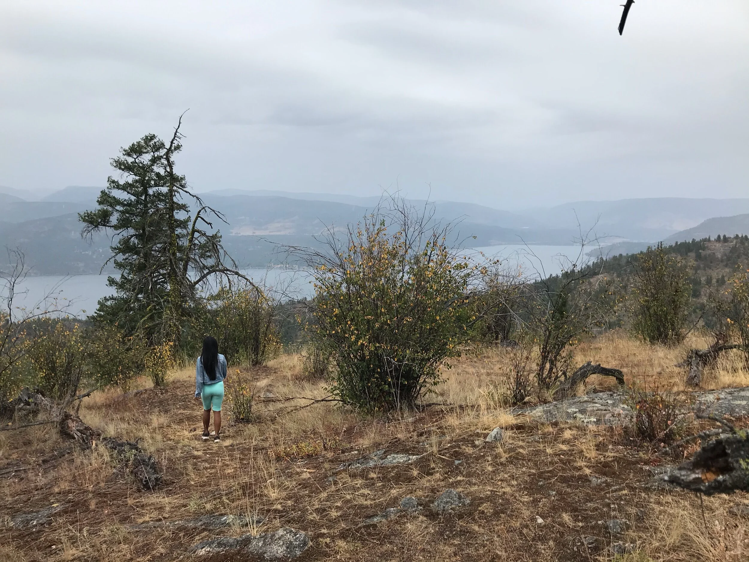 Longspoon Loop, Predator Ridge, BC