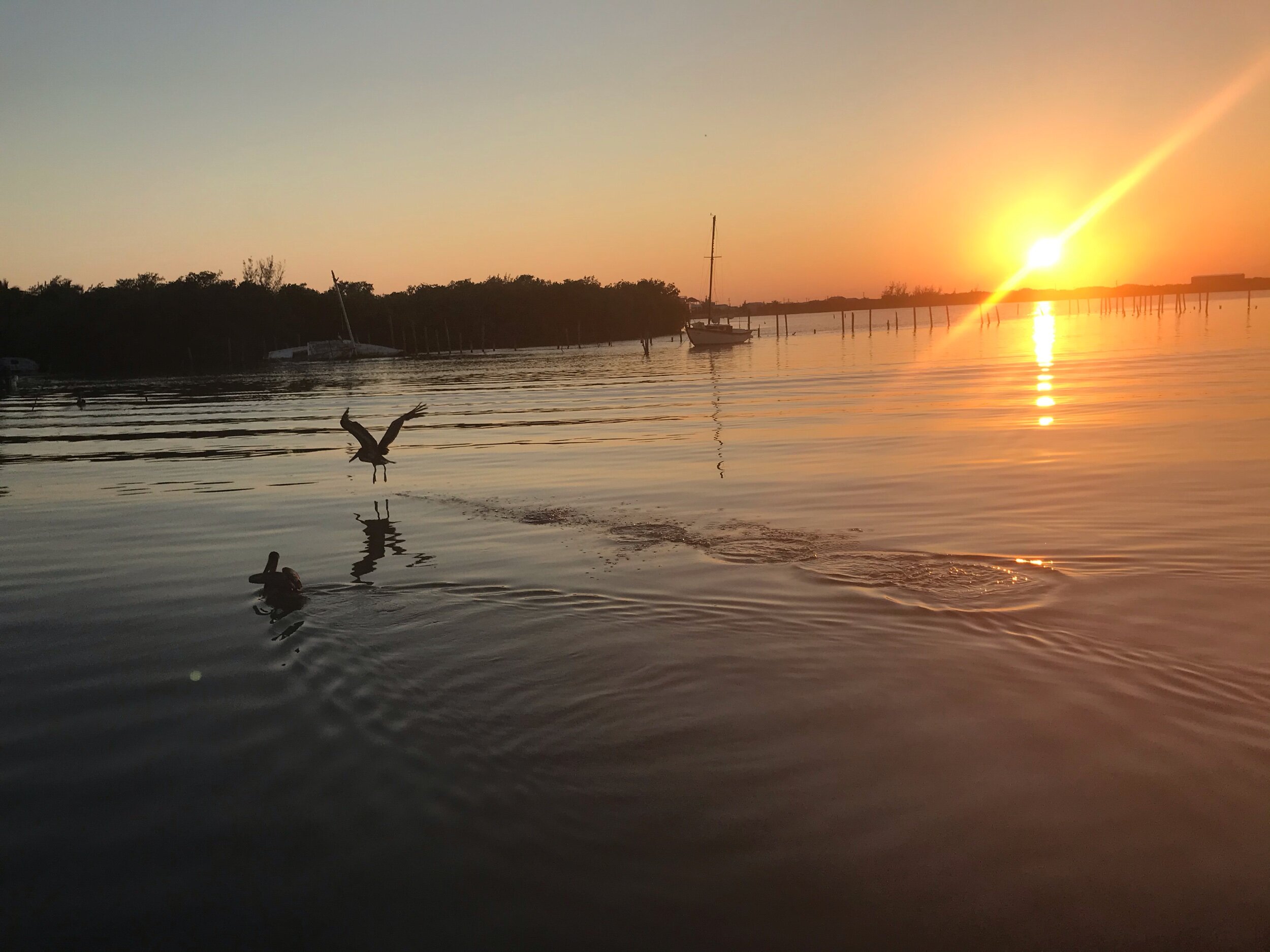 The Pelican Sunset Bar, Caye Caulker
