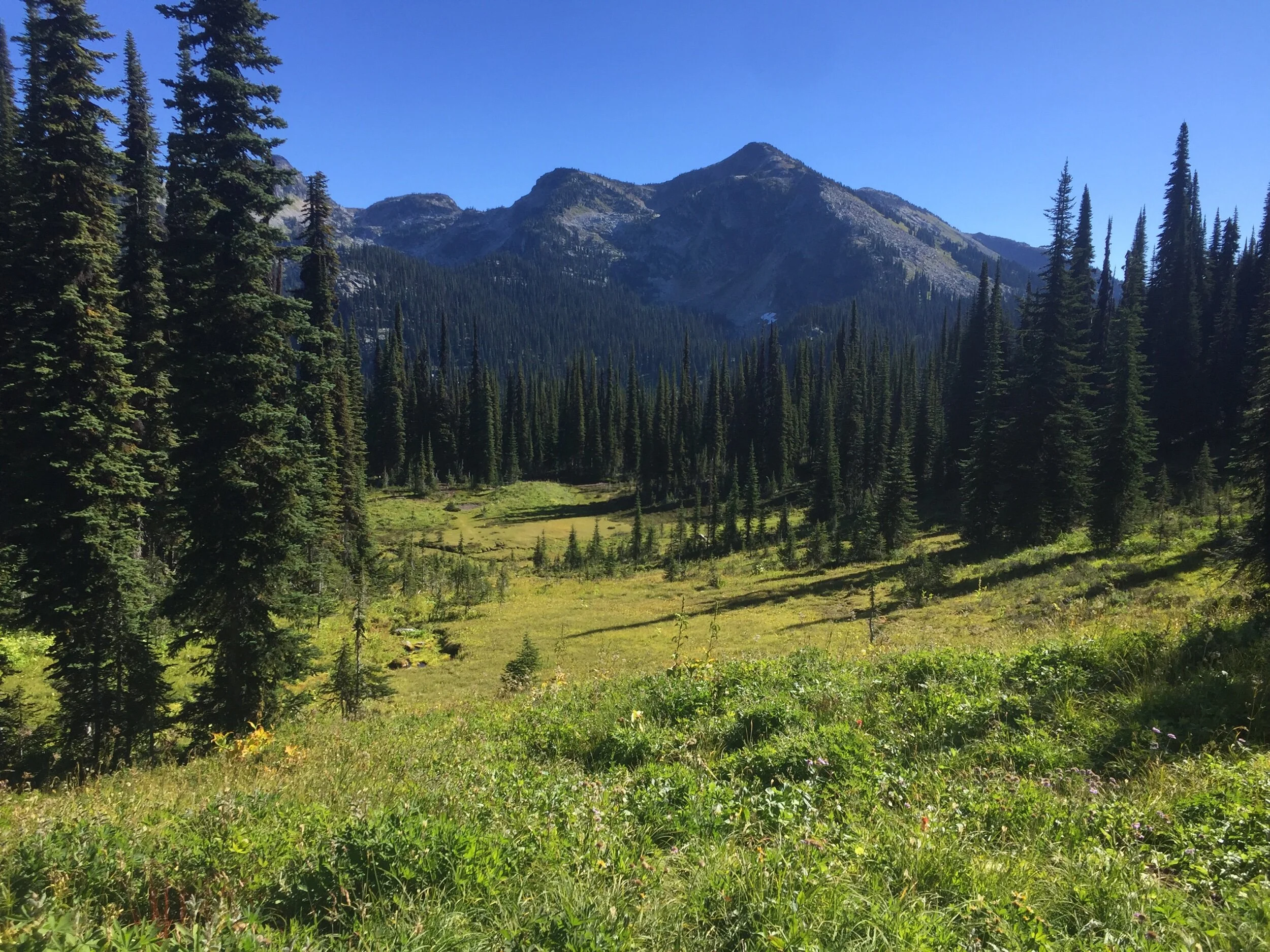 Mount Revelstoke Provincial Park — Exploratory Glory Travel Blog
