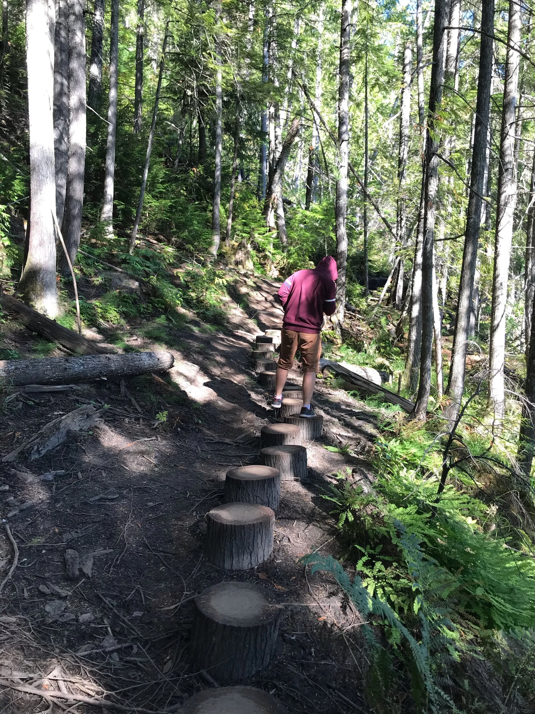 Big Eddy Bluff Trail — Exploratory Glory Travel Blog