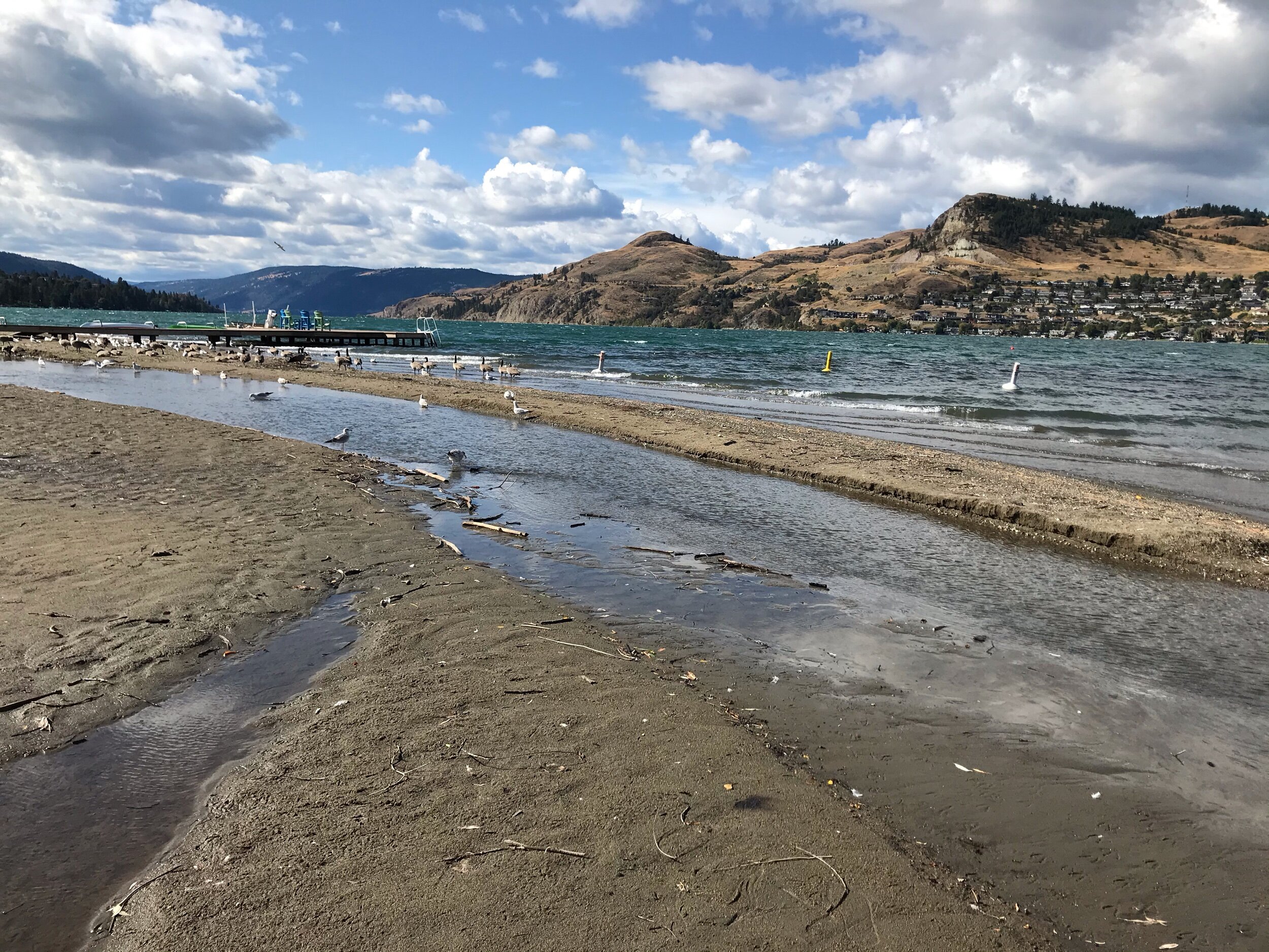 Kirkland Beach Park, Coldstream — Exploratory Glory Travel Blog