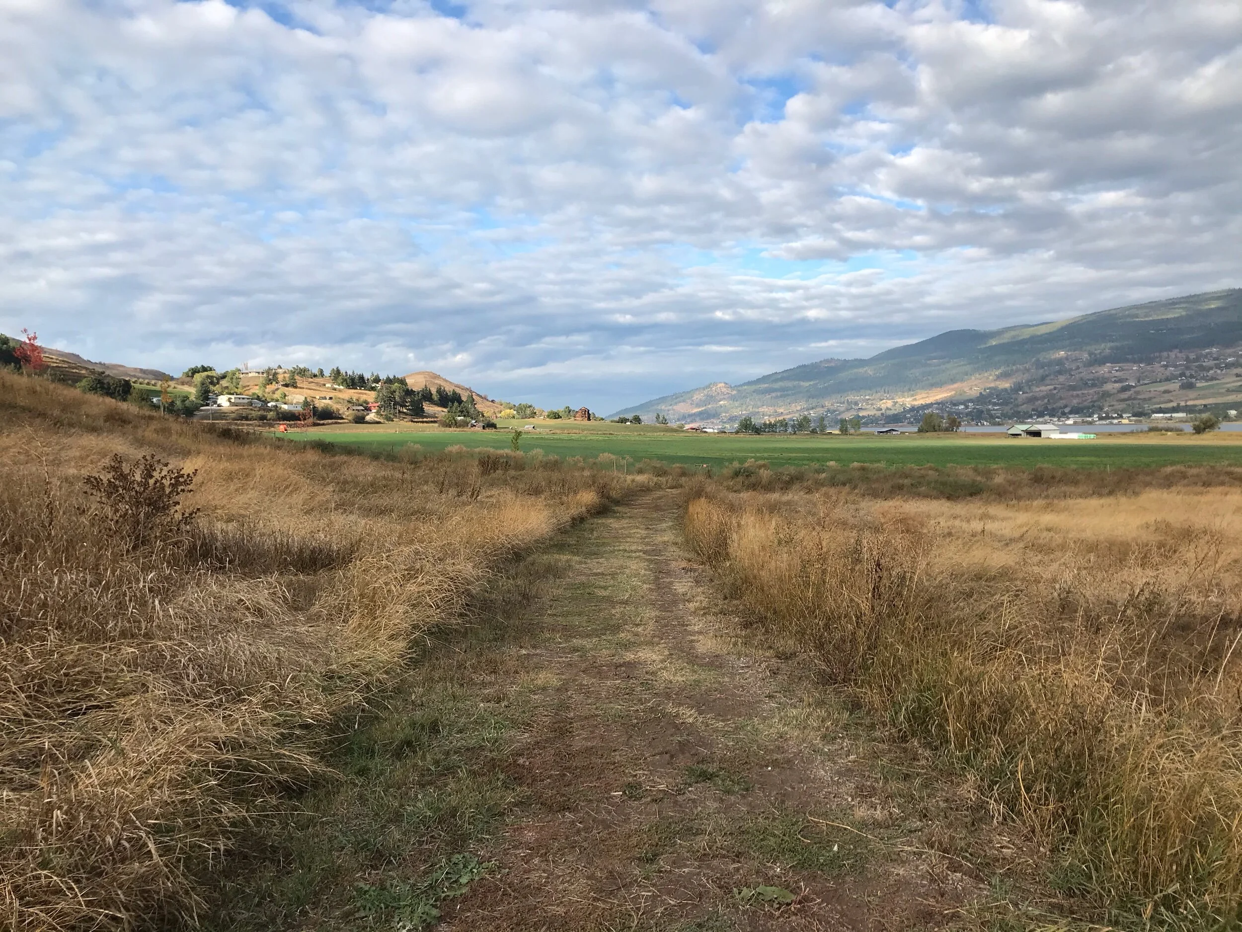 Swan Lake Nature Reserve Loop, Vernon