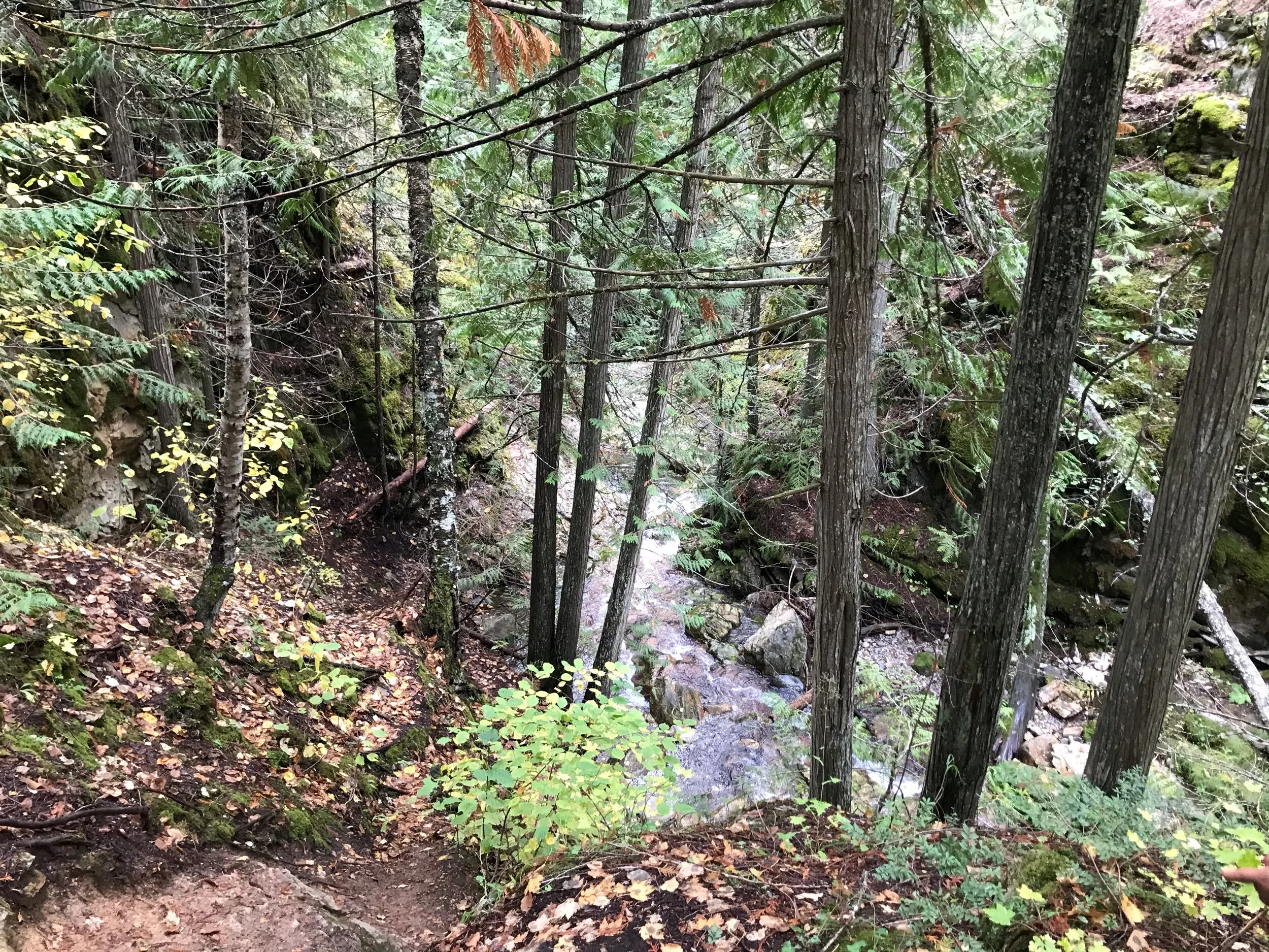 BX Falls Trail — Exploratory Glory Travel Blog